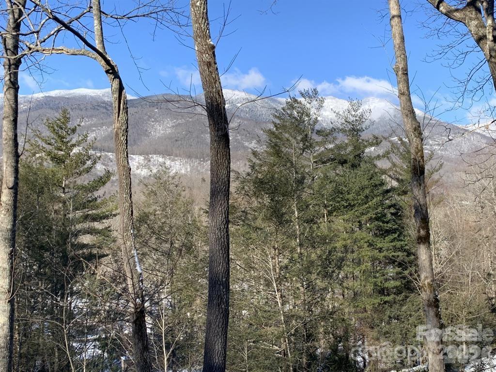 448 Mt. Mitchell Drive Property Photo 35