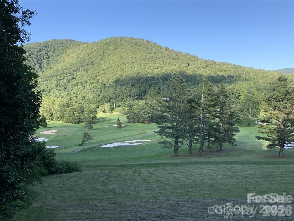 448 Mt. Mitchell Drive Property Photo 37