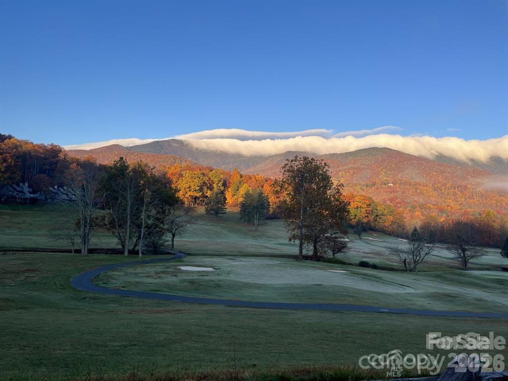 448 Mt. Mitchell Drive Property Photo 38