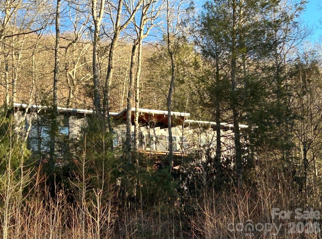 448 Mt. Mitchell Drive Property Photo 41