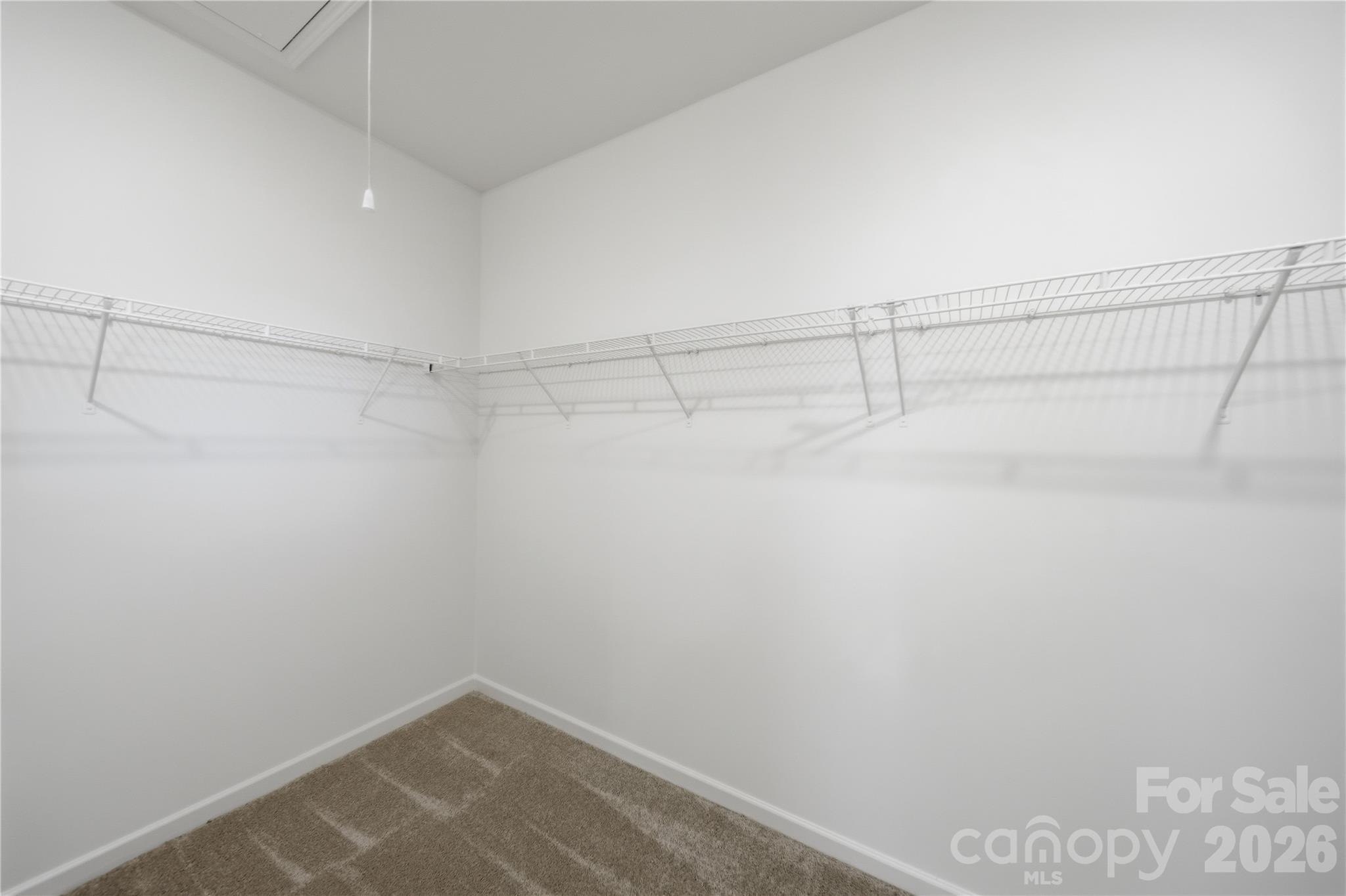 10054 Carousel Corral Drive Property Photo 36