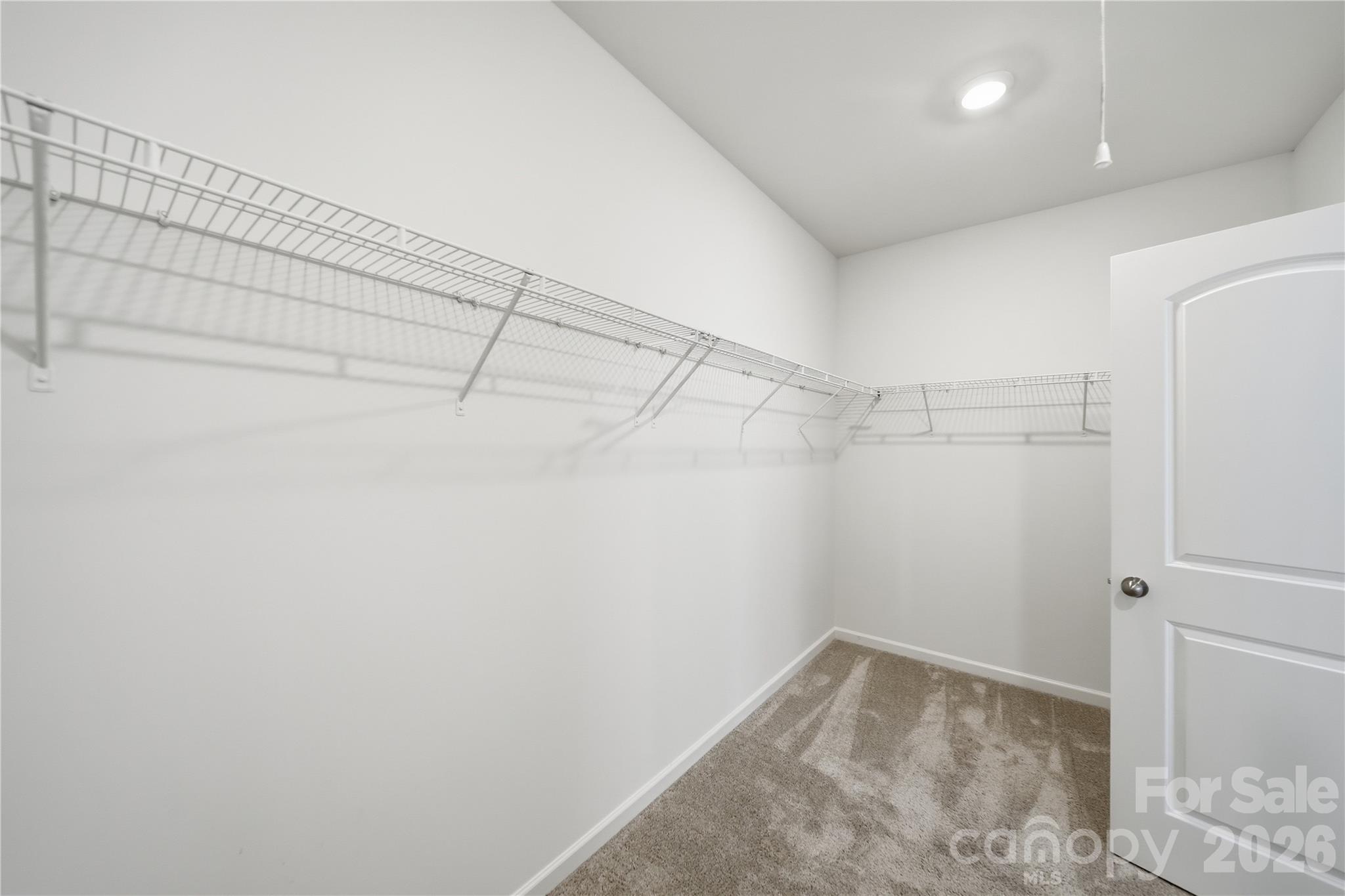 10054 Carousel Corral Drive Property Photo 37