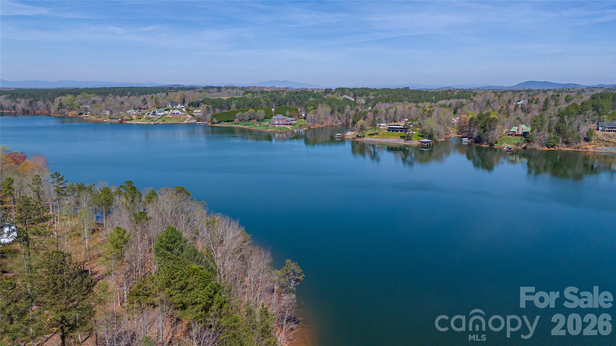 2221 Pikes Peak Ridge Property Photo 4