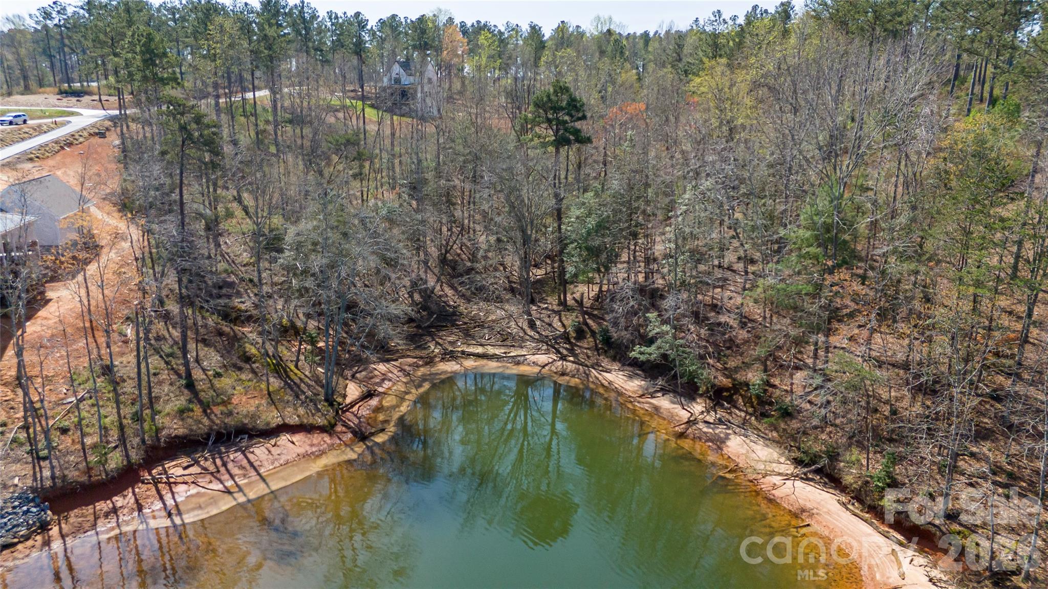 2221 Pikes Peak Ridge Property Photo 7