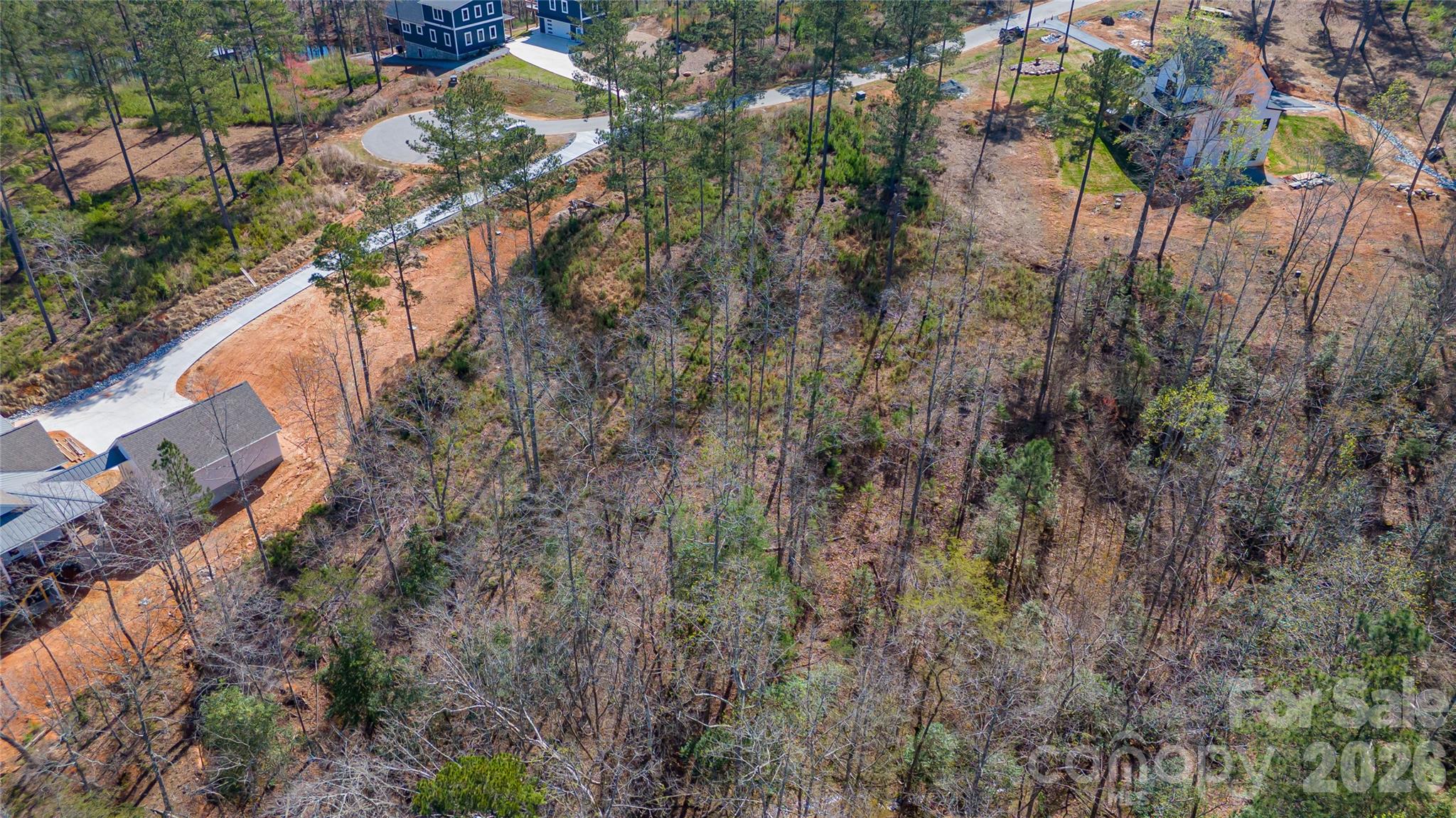 2221 Pikes Peak Ridge Property Photo 9