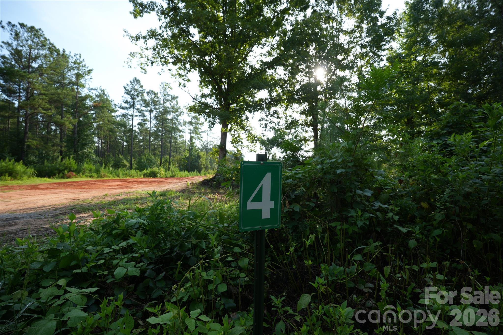 00 Bobby Faucette Road 4 Property Photo 3