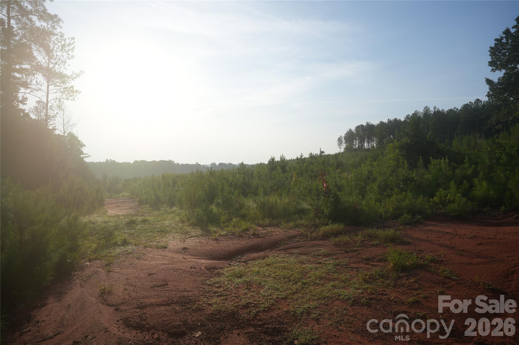00 Bobby Faucette Road 4 Property Photo 4