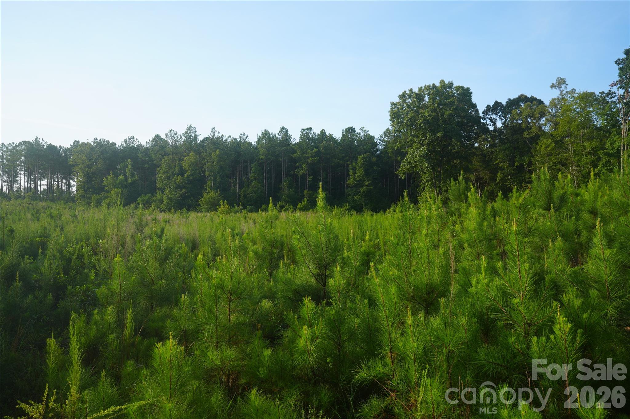 00 Bobby Faucette Road 4 Property Photo 6
