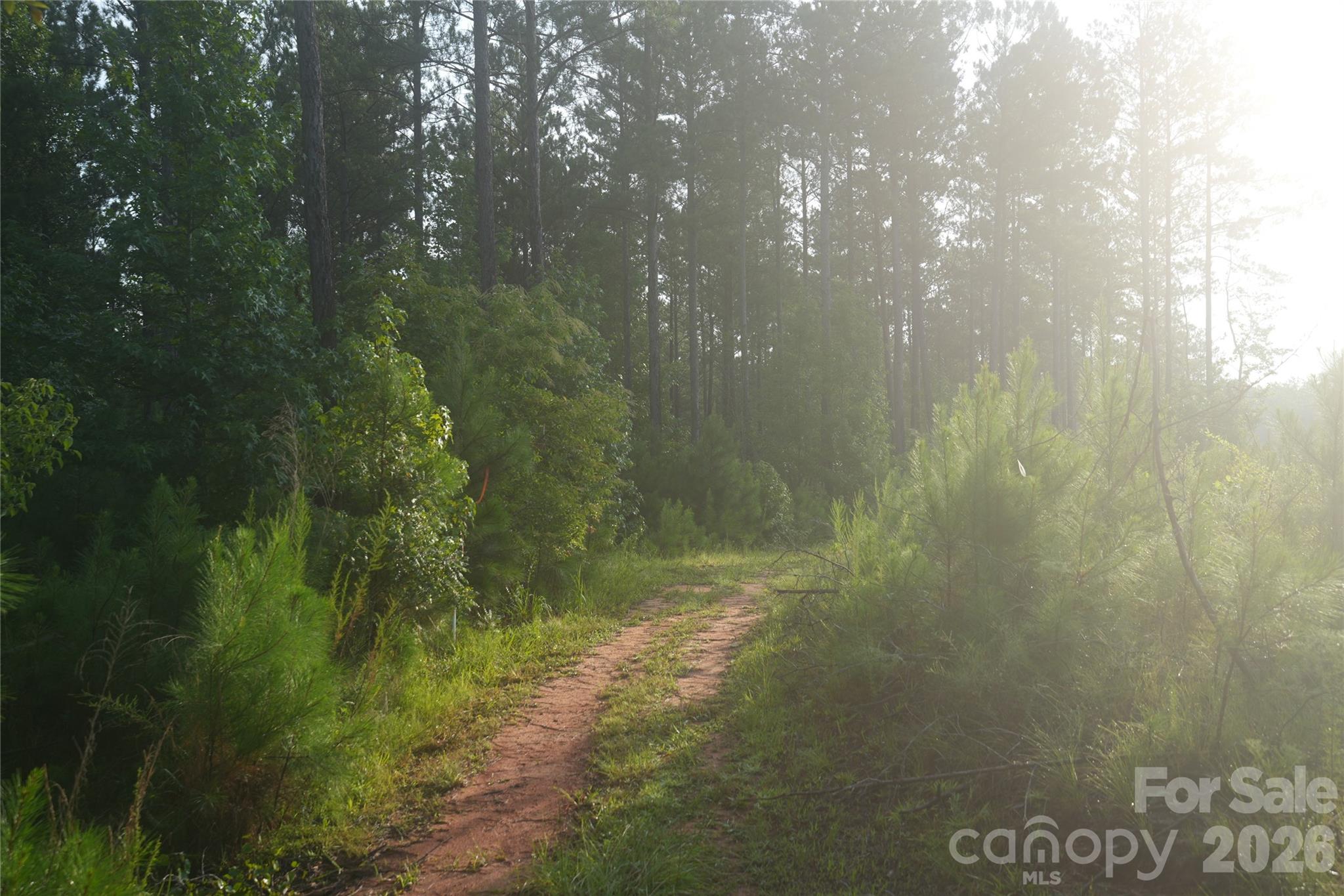 00 Bobby Faucette Road 4 Property Photo 8
