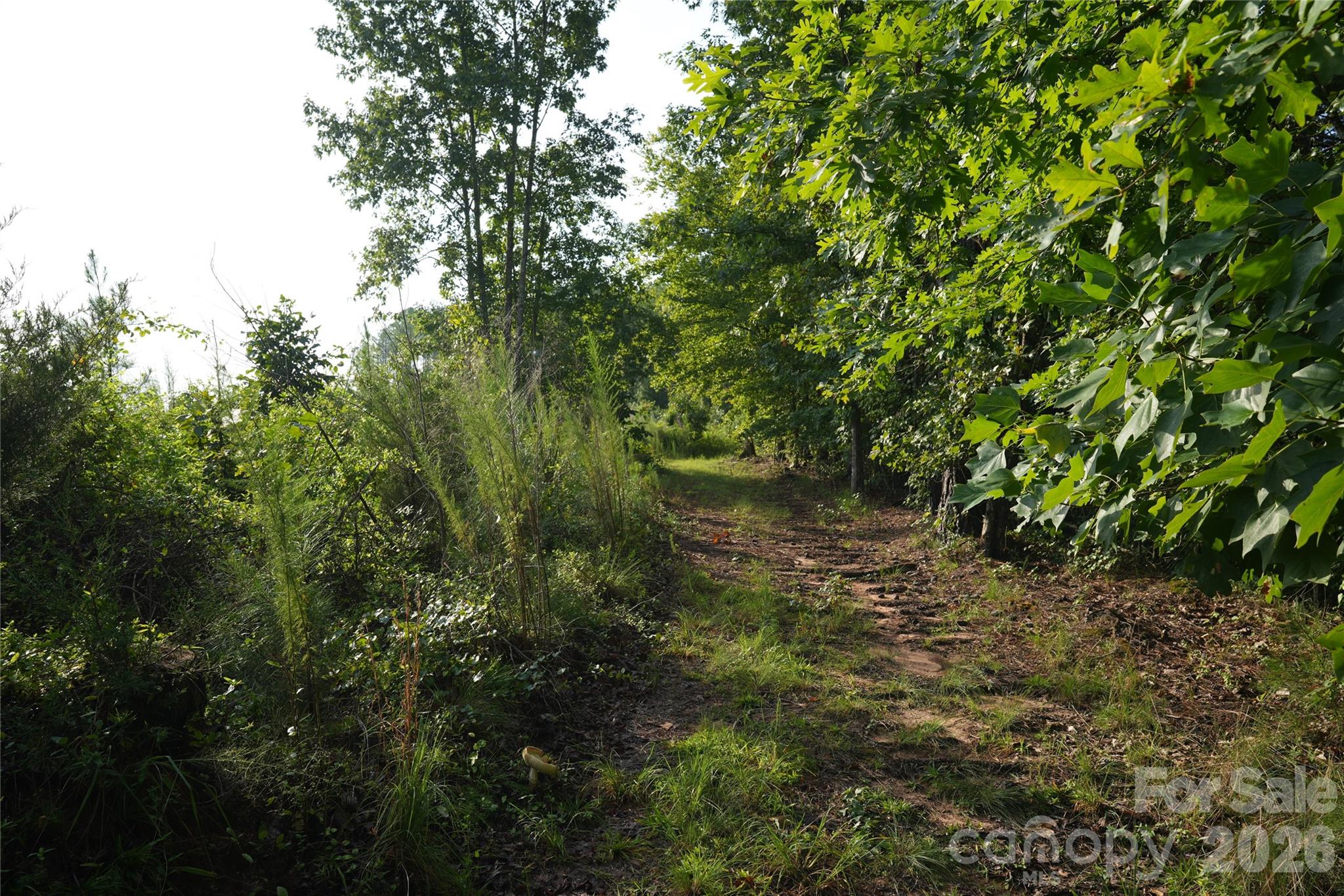 00 Bobby Faucette Road 4 Property Photo 9