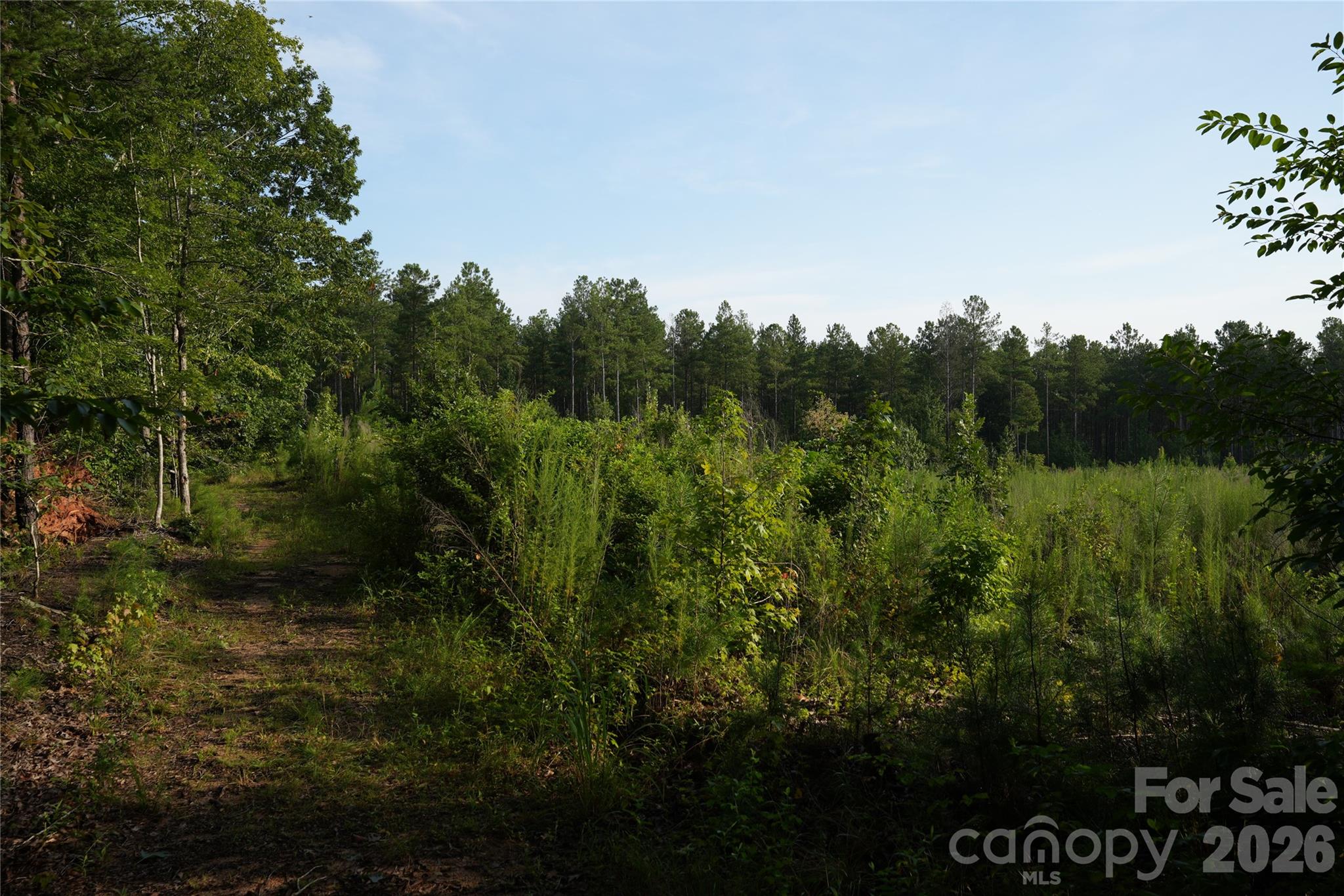 00 Bobby Faucette Road 4 Property Photo 10