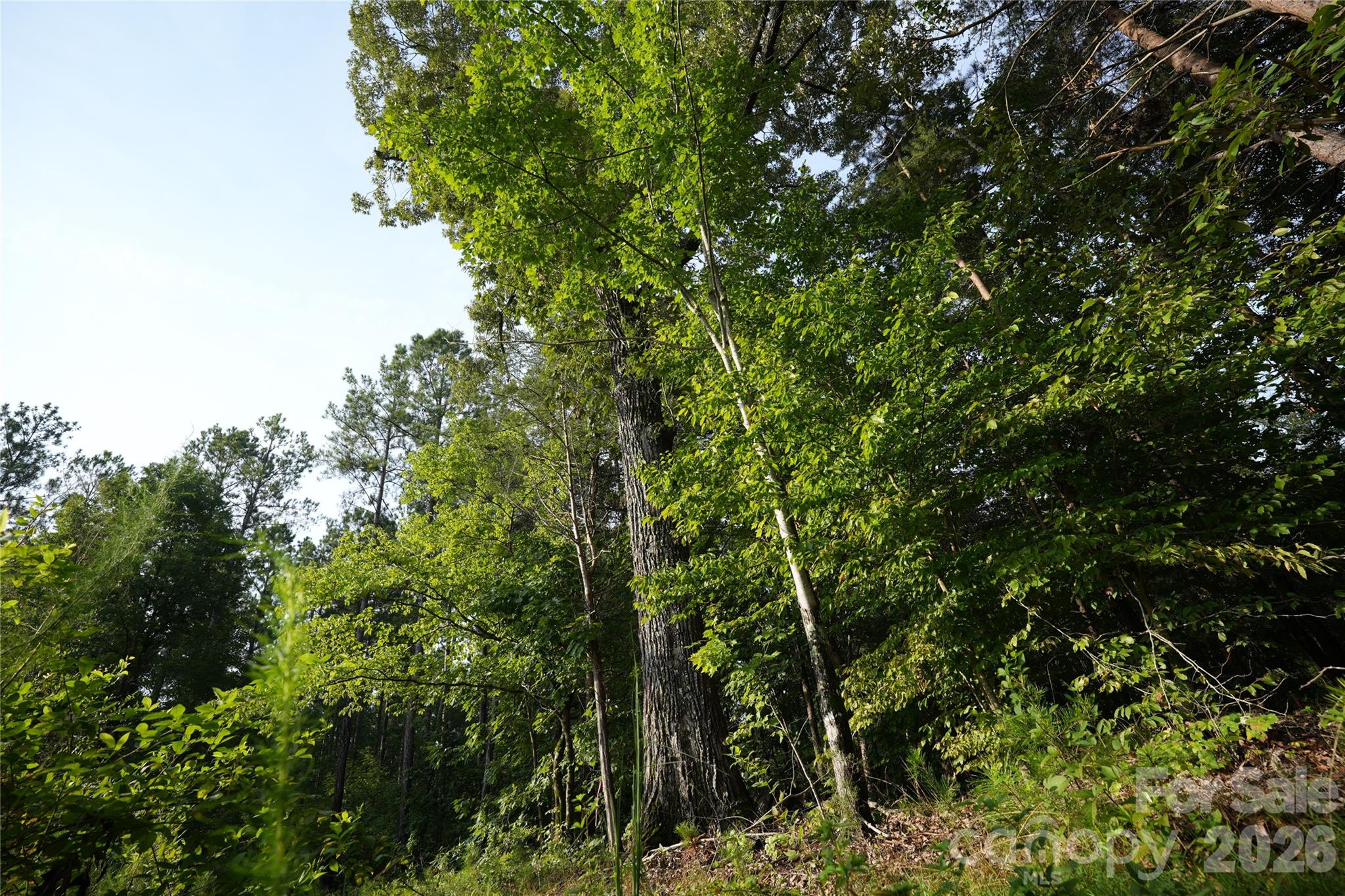 00 Bobby Faucette Road 4 Property Photo 11