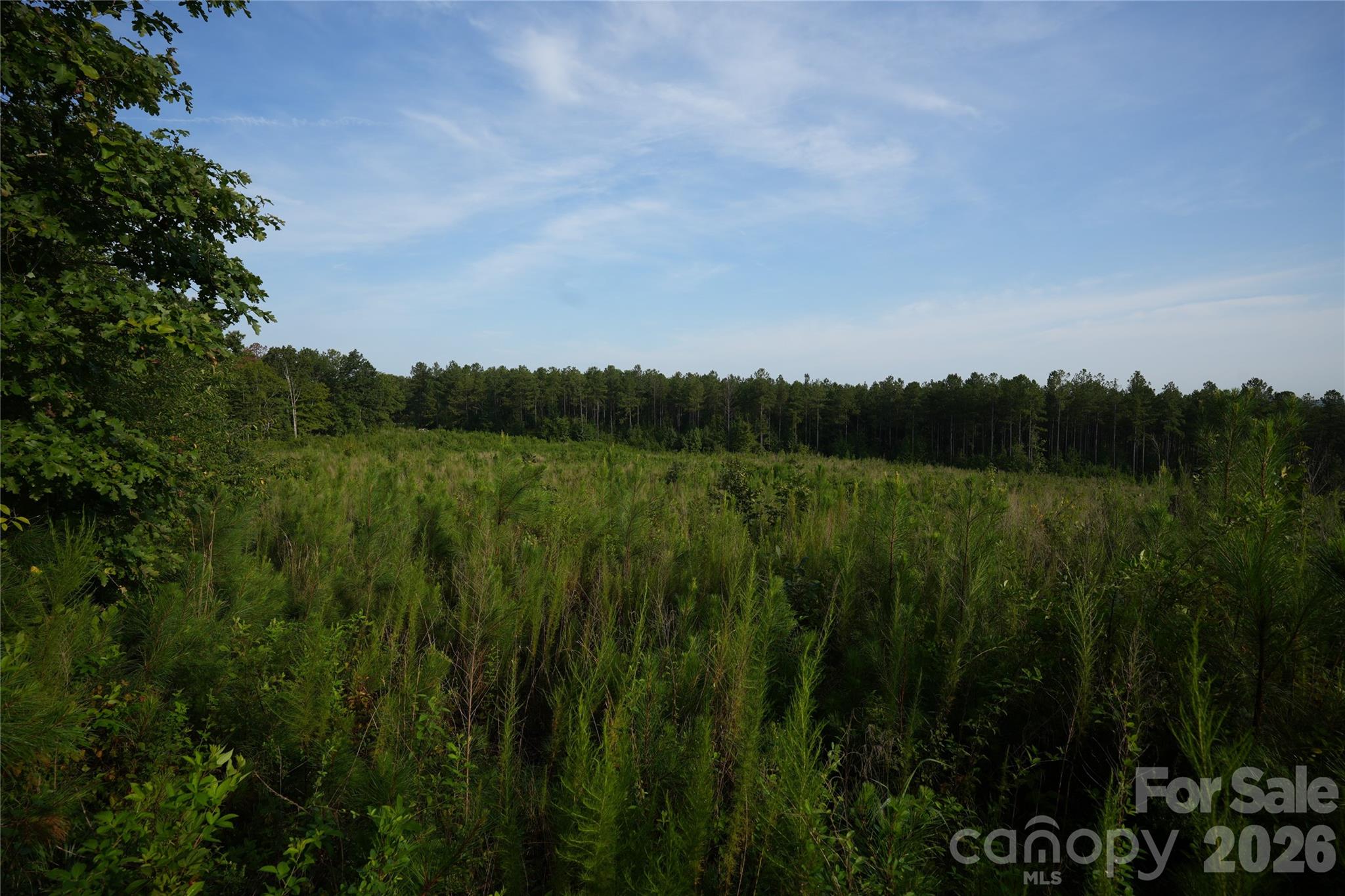 00 Bobby Faucette Road 4 Property Photo 12
