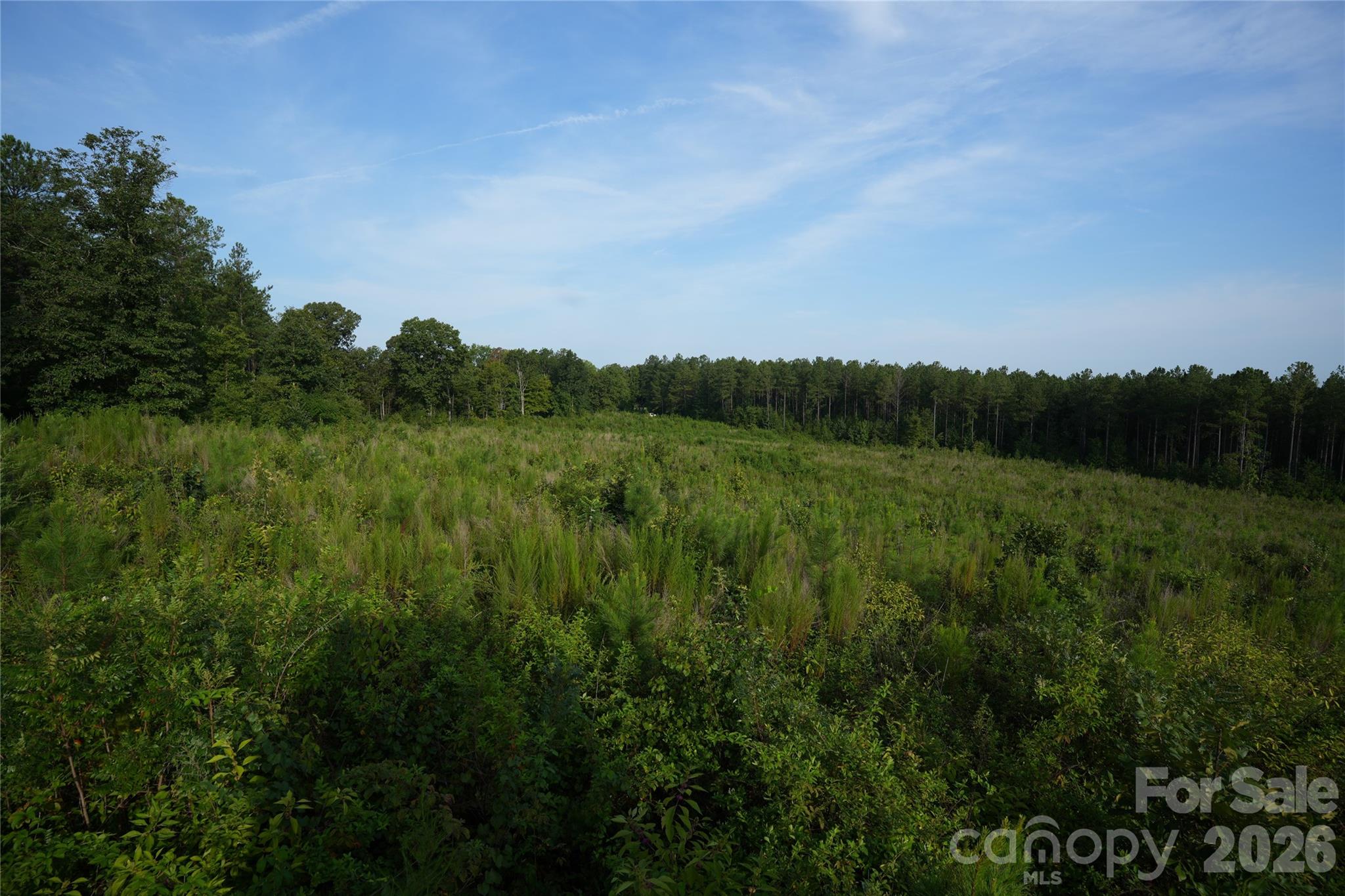 00 Bobby Faucette Road 4 Property Photo 13