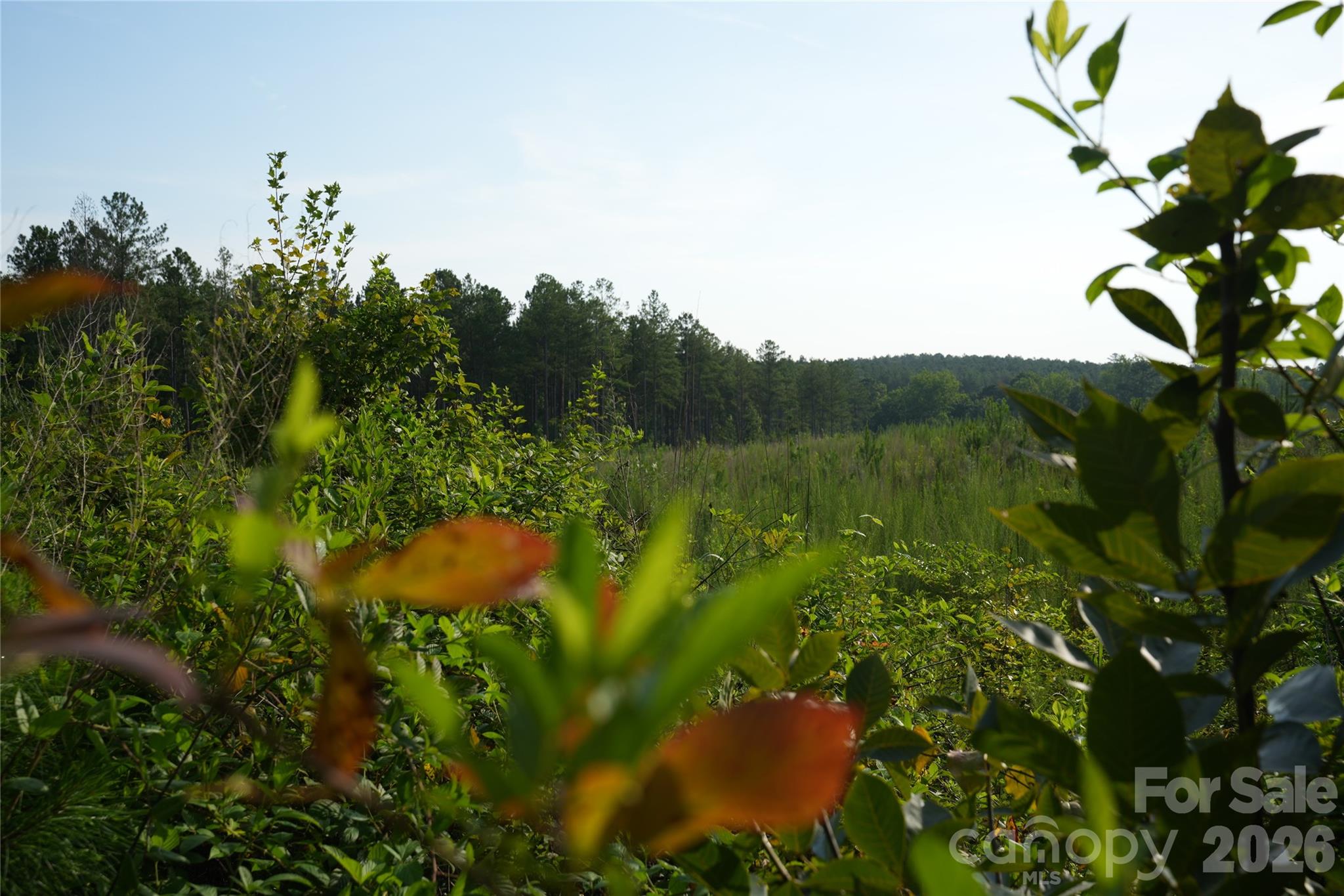 00 Bobby Faucette Road 4 Property Photo 14