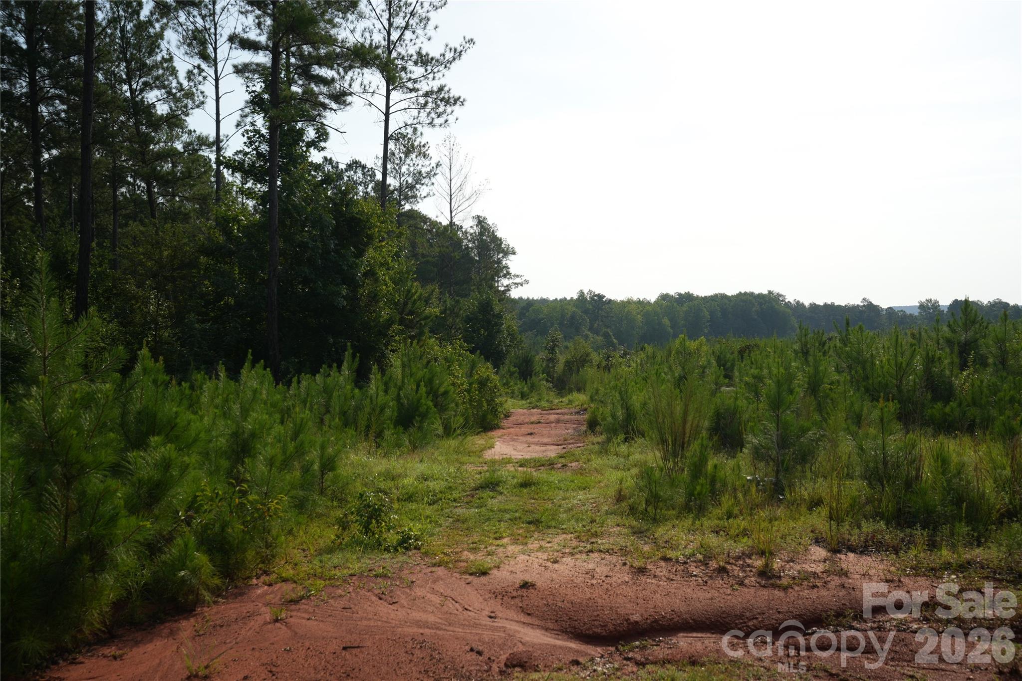 00 Bobby Faucette Road 4 Property Photo 15