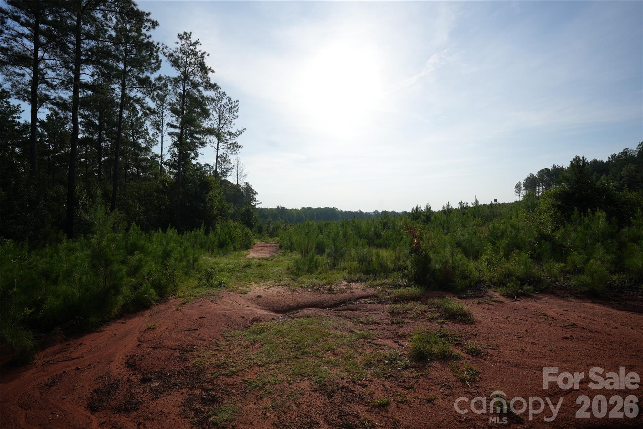 00 Bobby Faucette Road 4 Property Photo 16