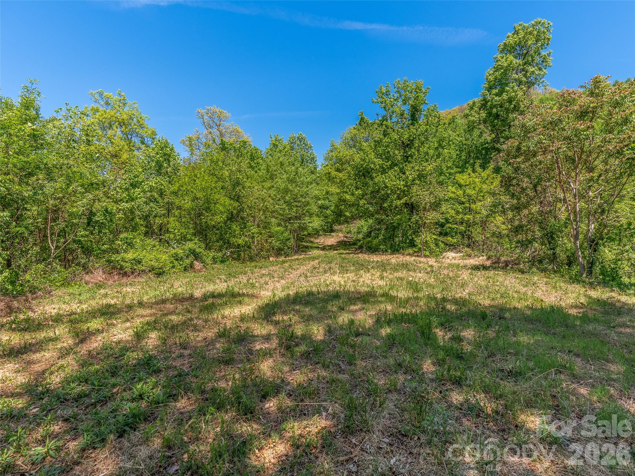 488 Warbler Lane H-13 Property Photo 3