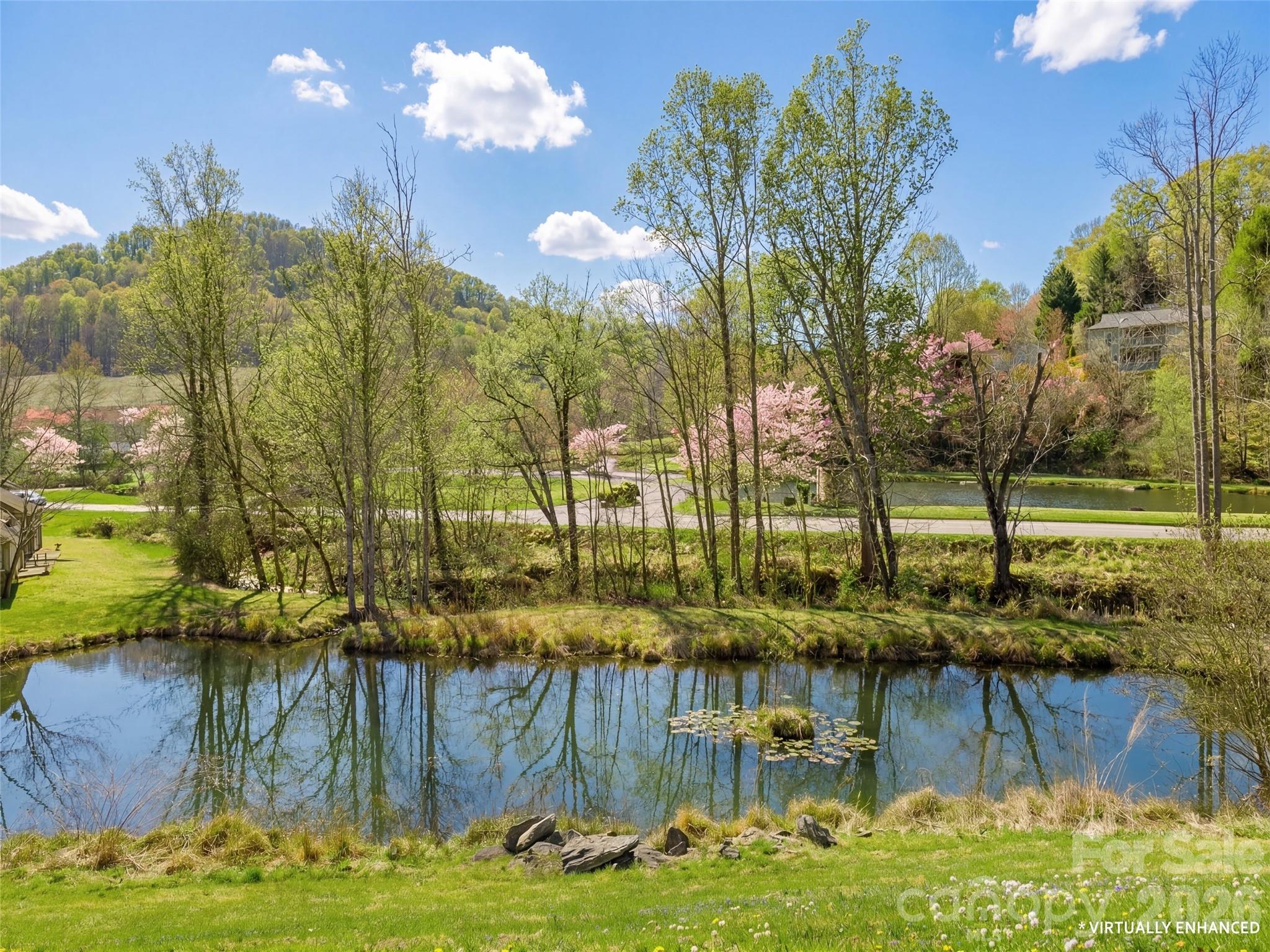 203 Rocky Mountain Way Property Photo 5