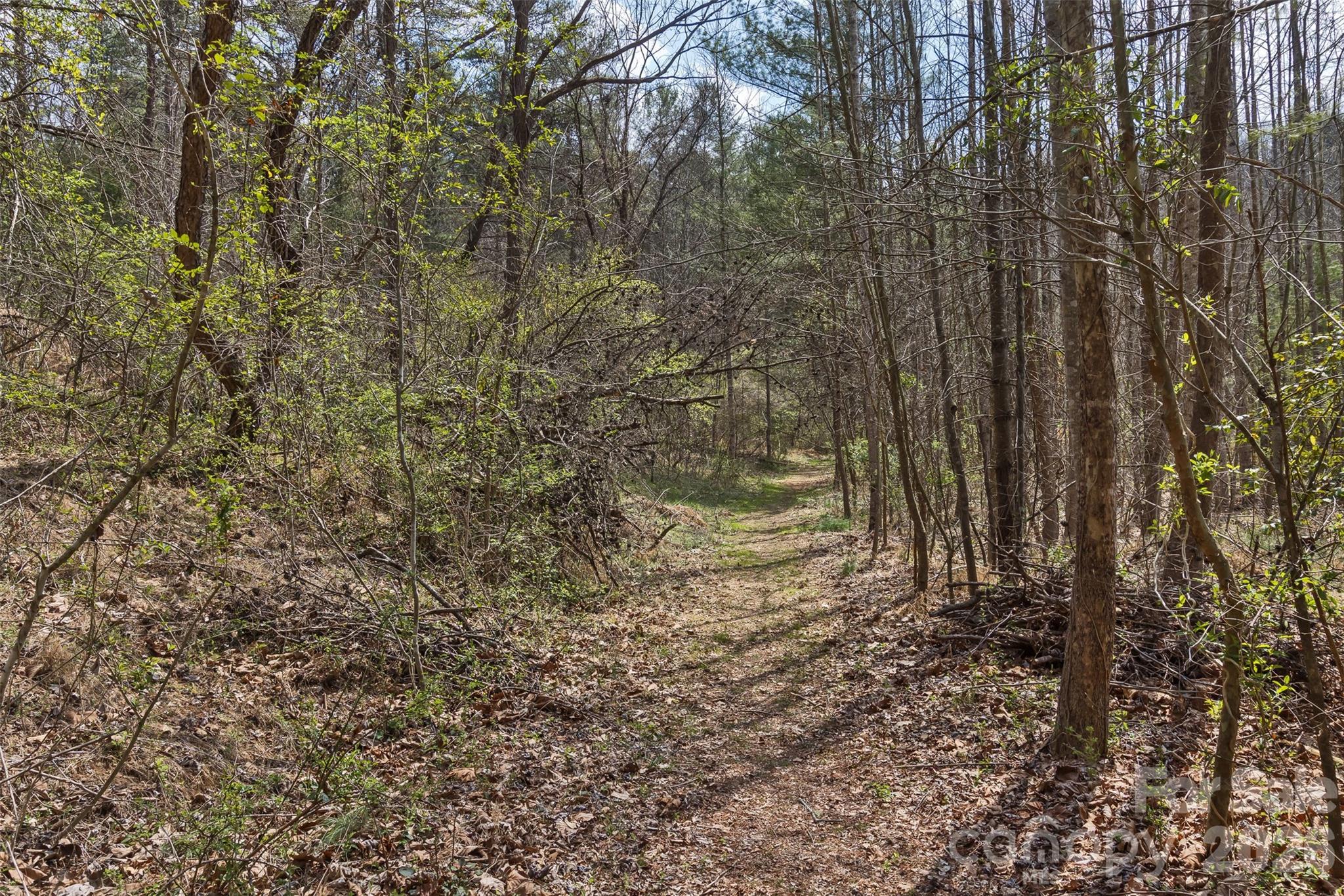 37 Creekside View Drive Property Photo 42