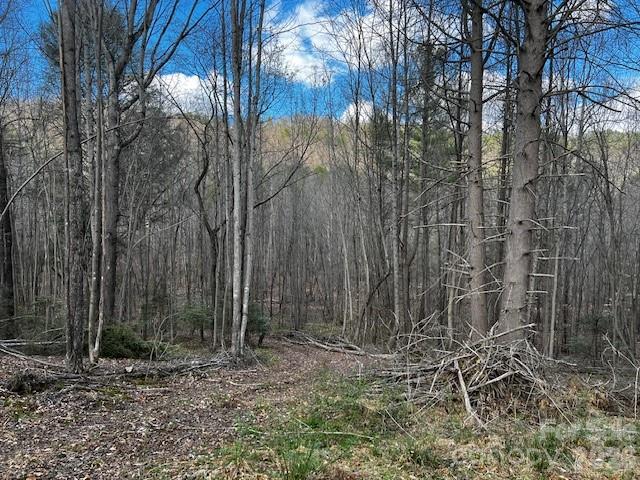 137 Cowboy Lane Property Photo 12