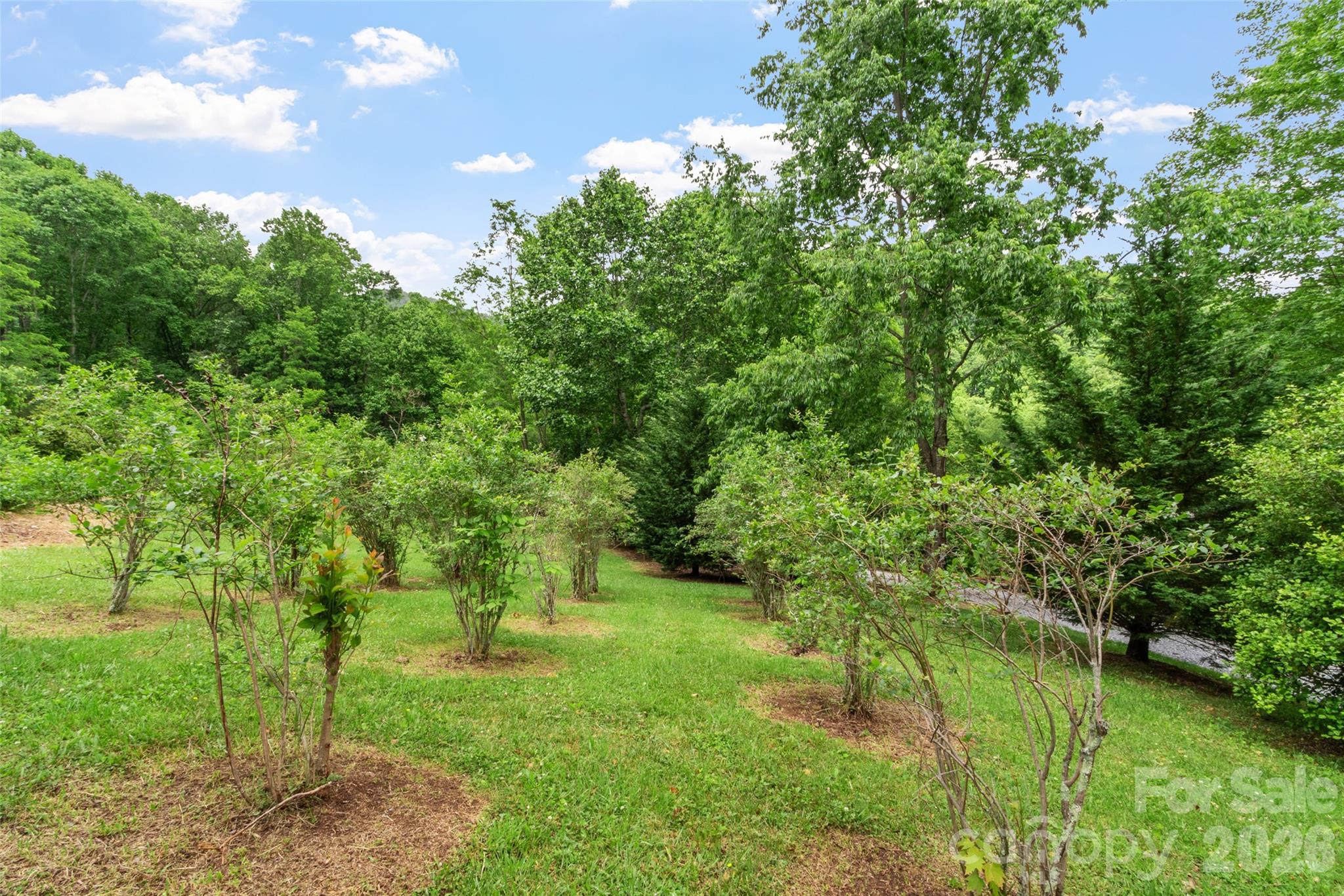 11820 State Highway 197 None Property Photo 43