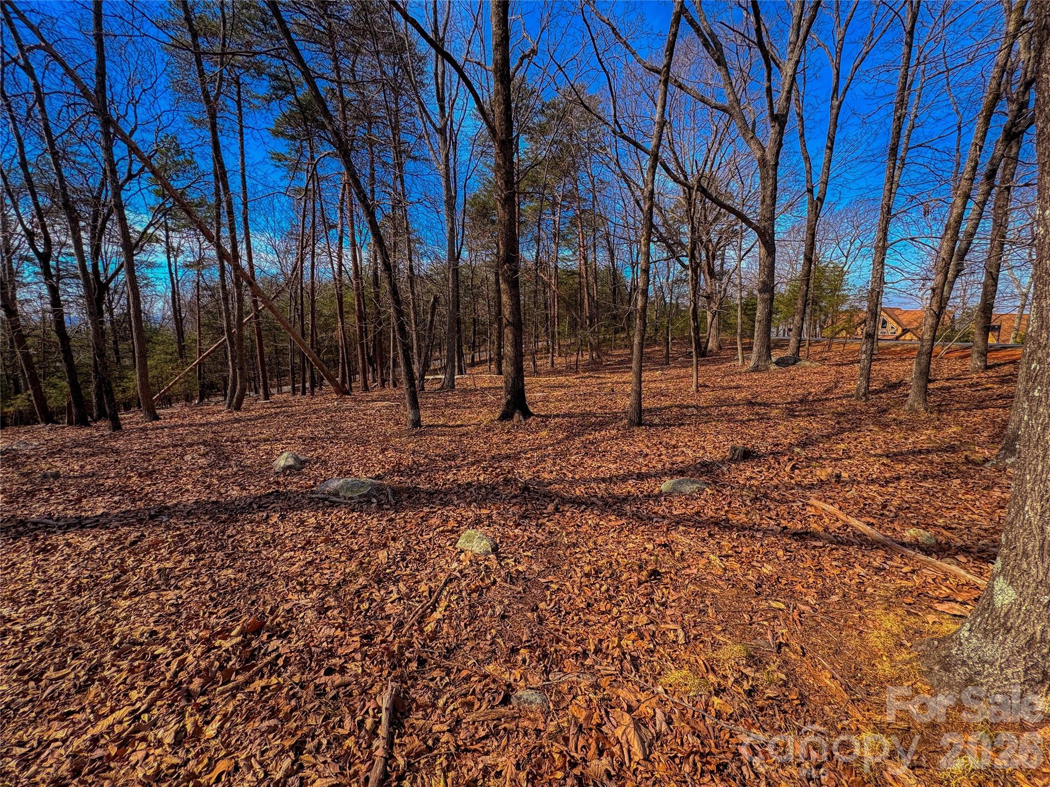 863 Sierra Trace Road Property Photo 7