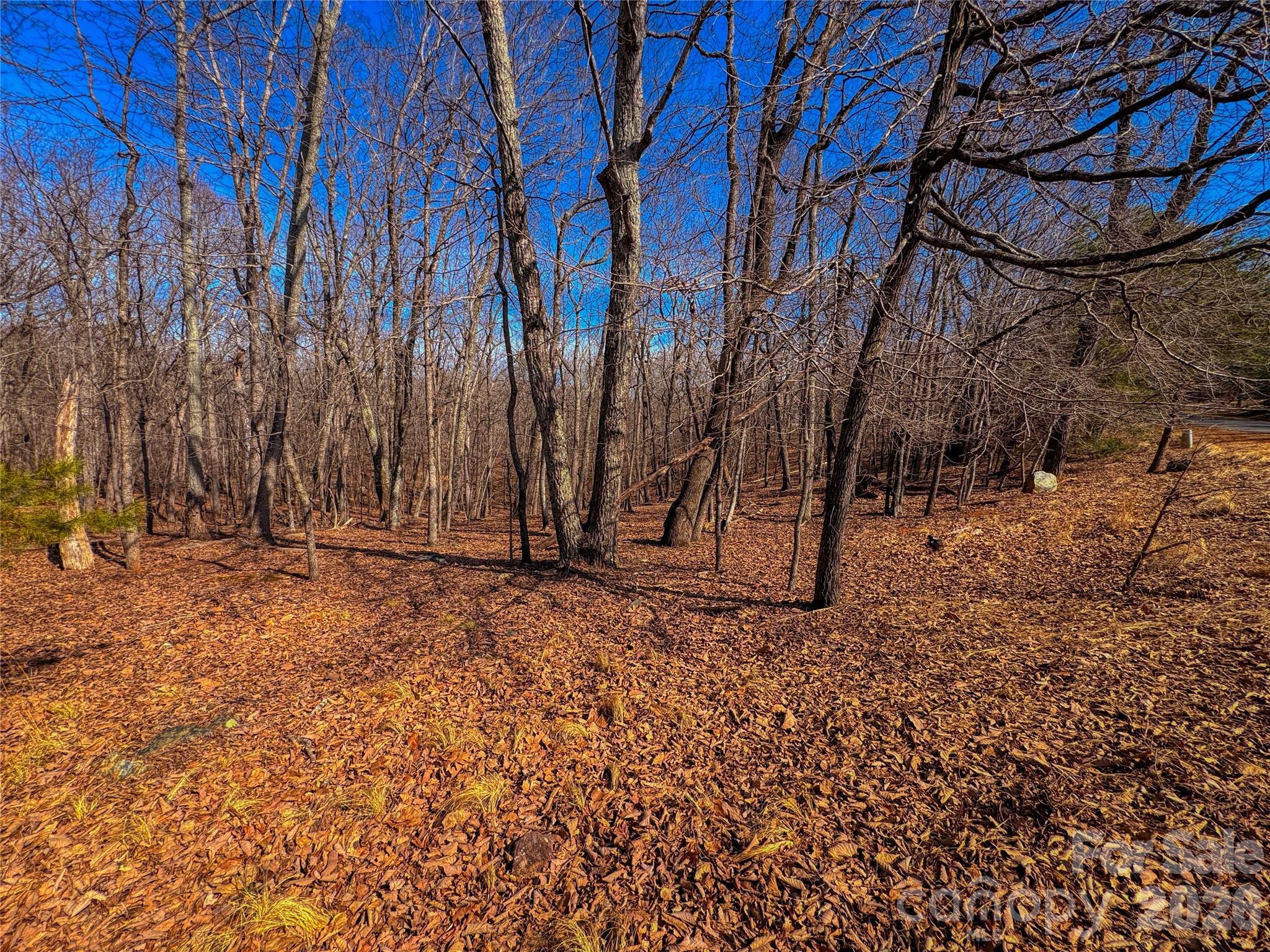 863 Sierra Trace Road Property Photo 8
