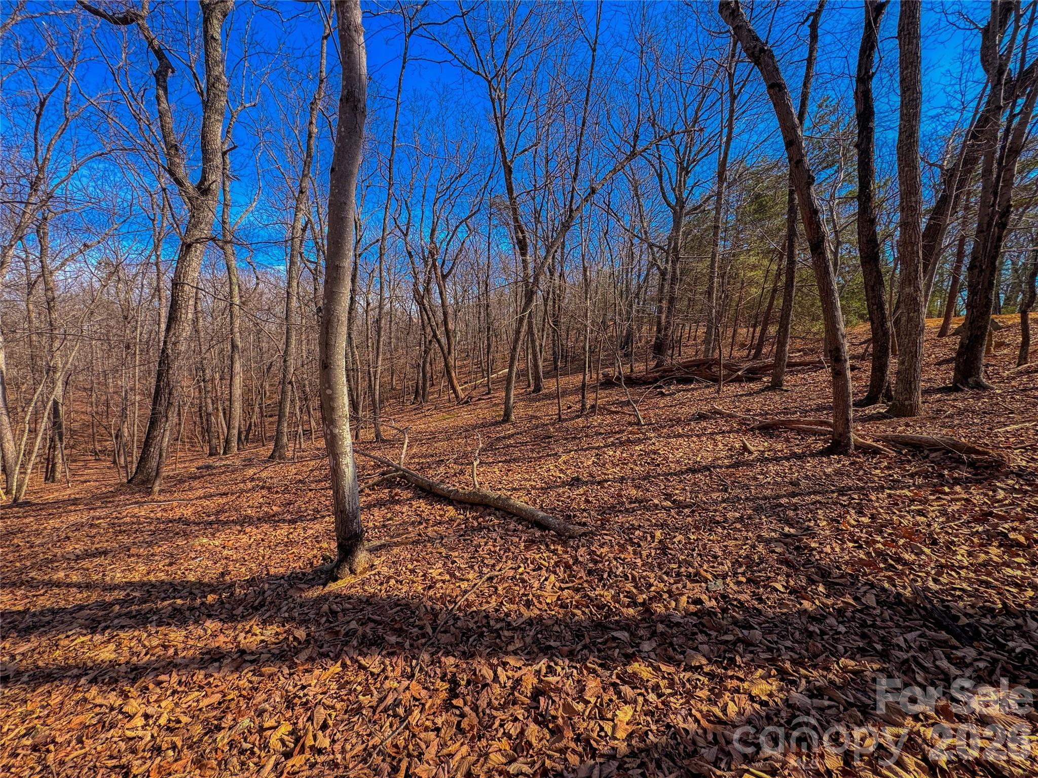 863 Sierra Trace Road Property Photo 10