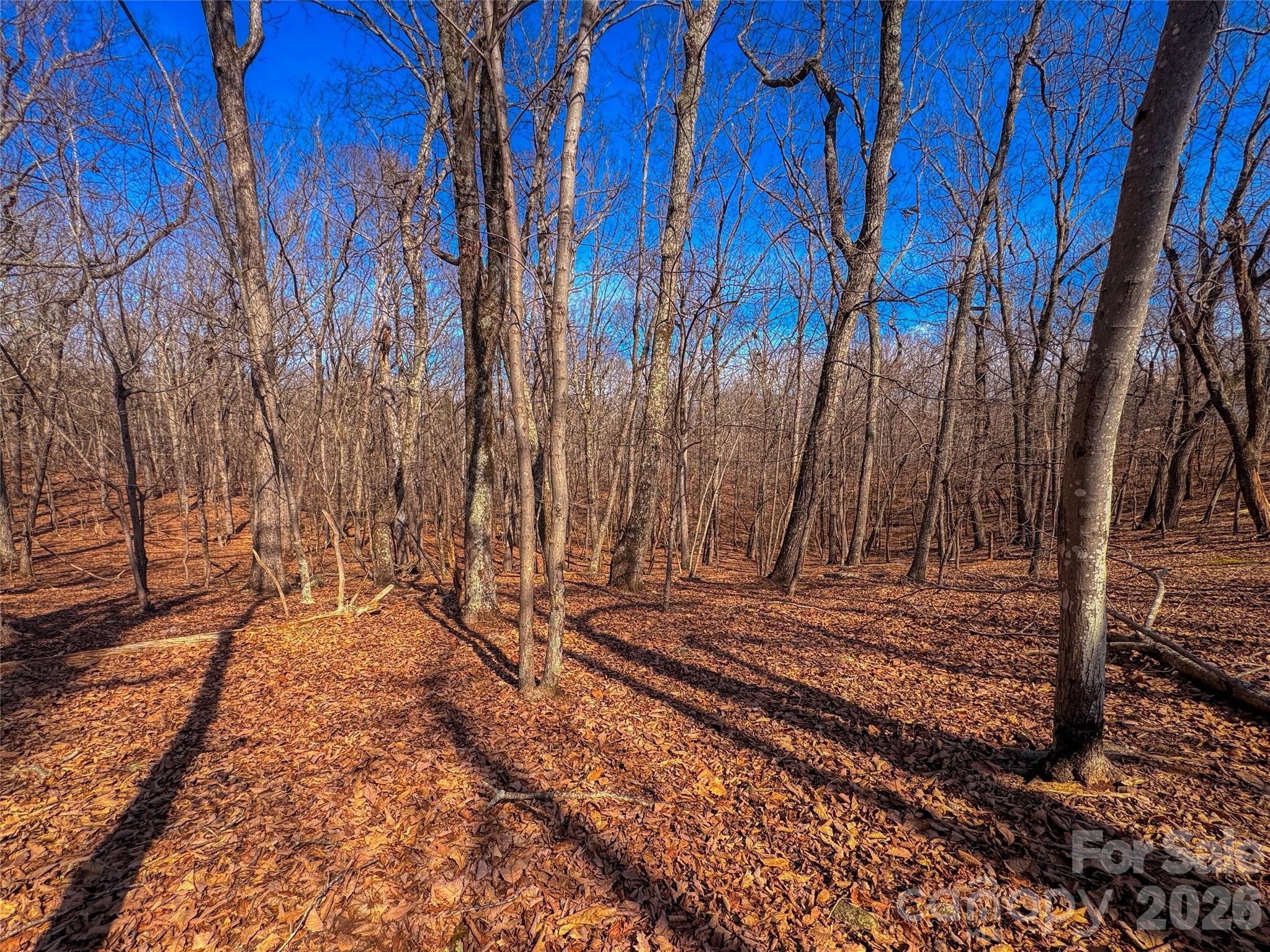 863 Sierra Trace Road Property Photo 11