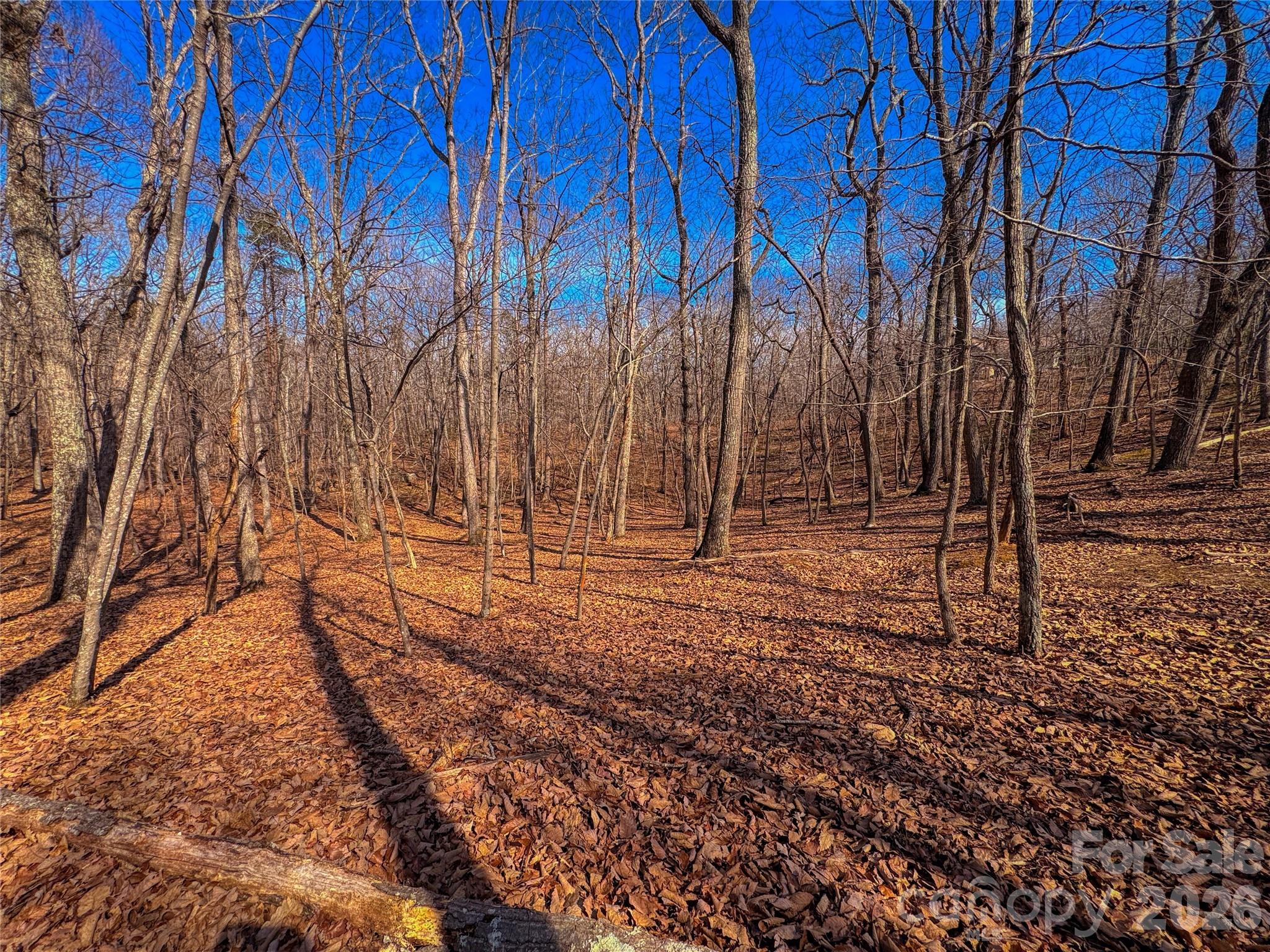 863 Sierra Trace Road Property Photo 12