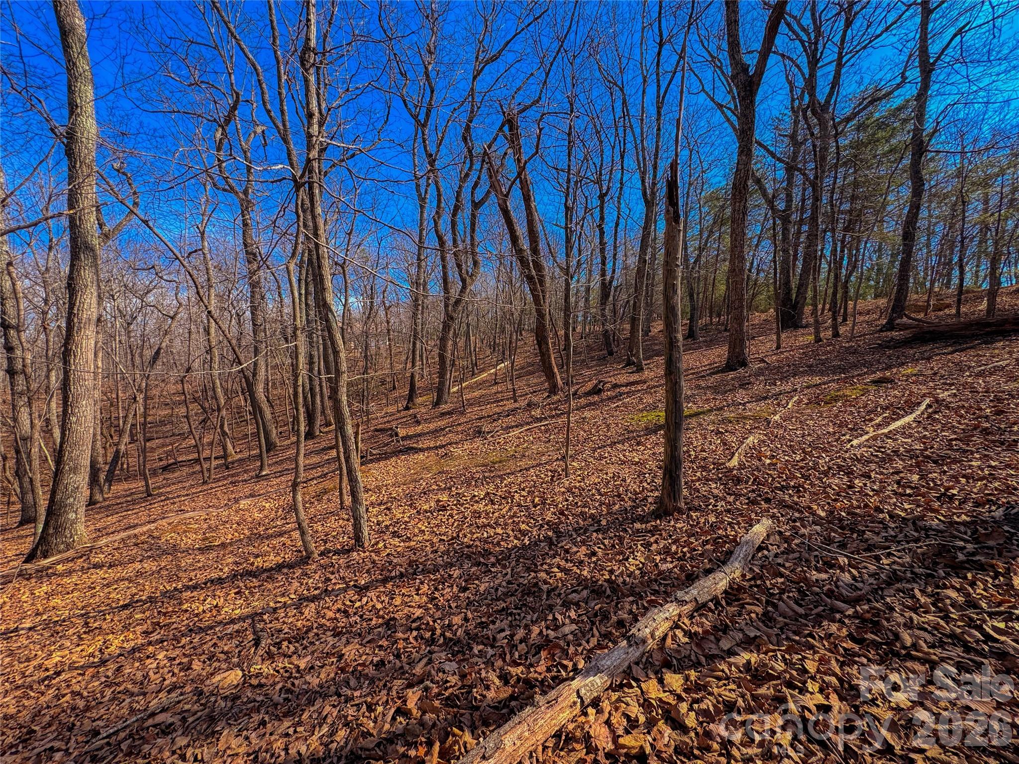863 Sierra Trace Road Property Photo 13