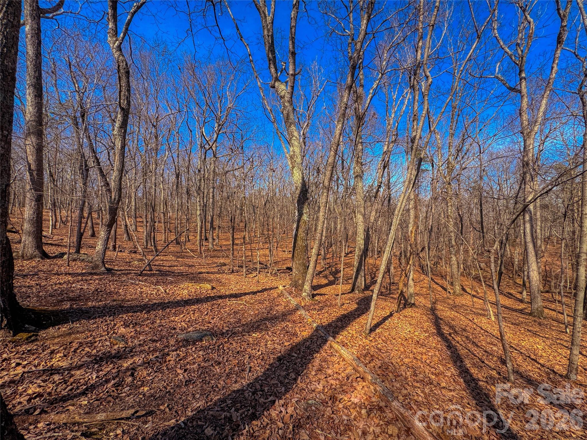 863 Sierra Trace Road Property Photo 14