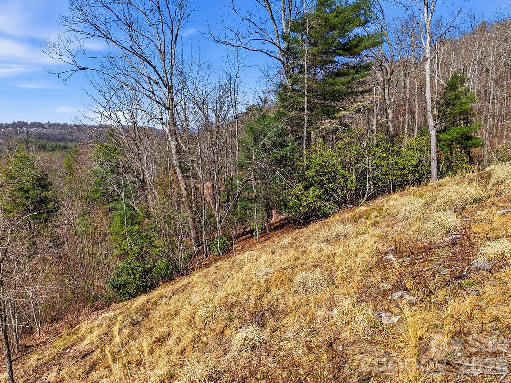 367 Curtain Bluff Property Photo 12