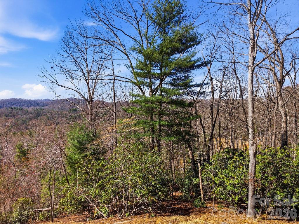 367 Curtain Bluff Property Photo 15