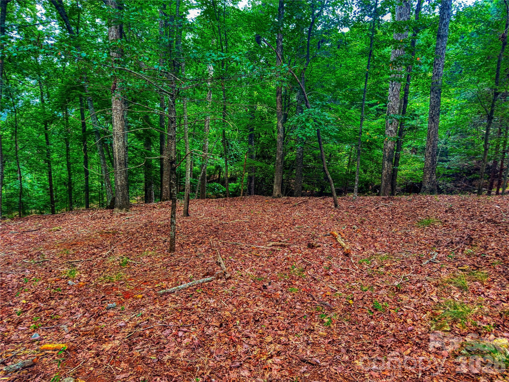 1996 Sierra Trace Road Property Photo 10