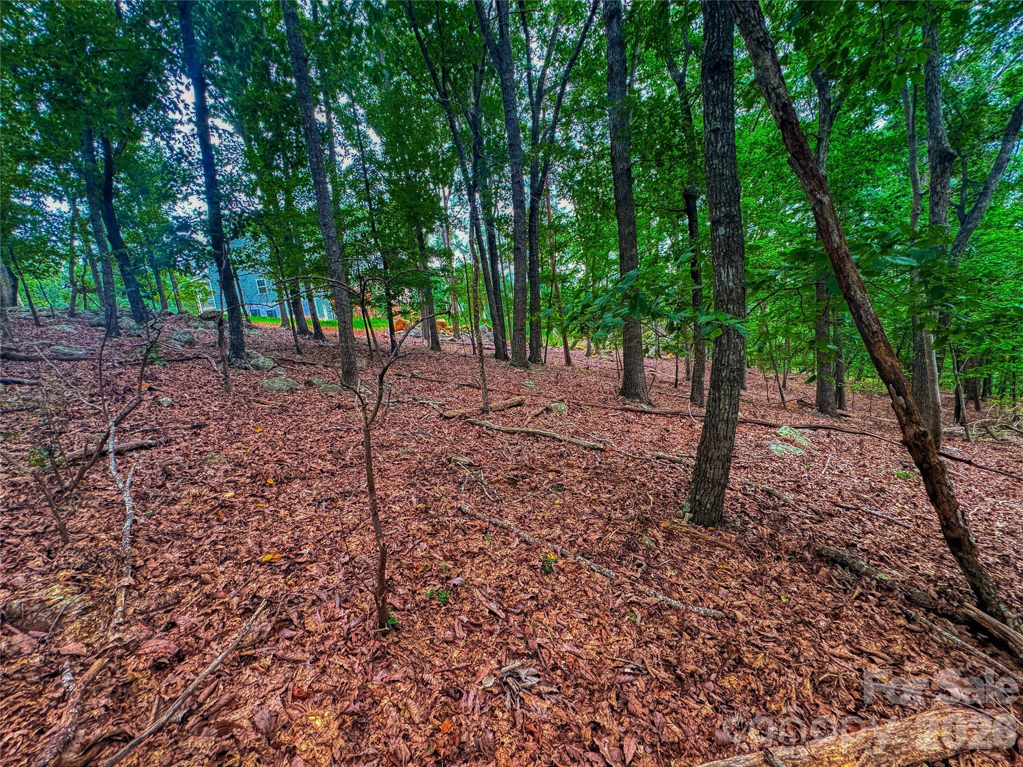 1996 Sierra Trace Road Property Photo 12