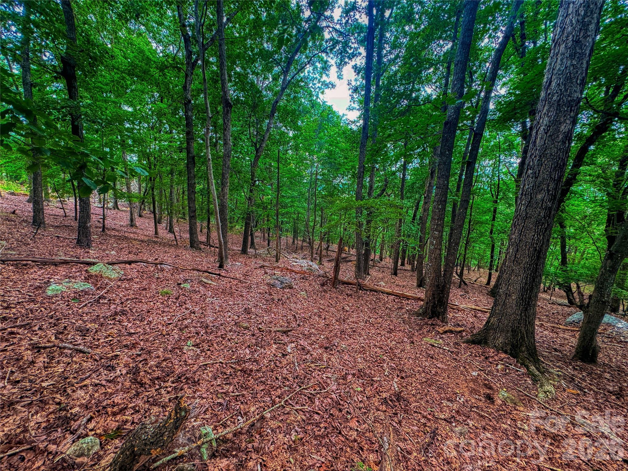 1996 Sierra Trace Road Property Photo 14