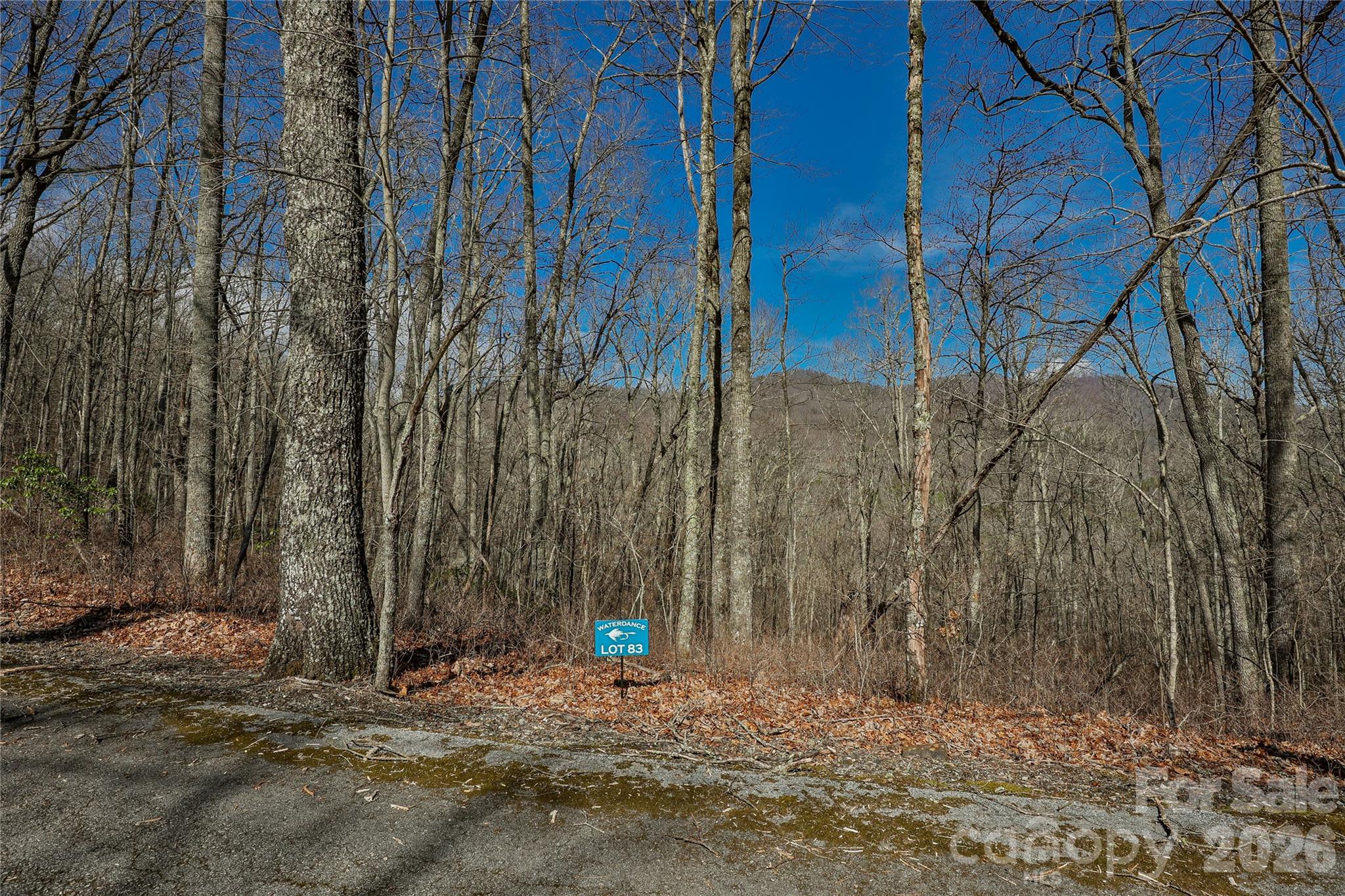 Lots 82 & 83 Waterdance Drive Property Photo 5