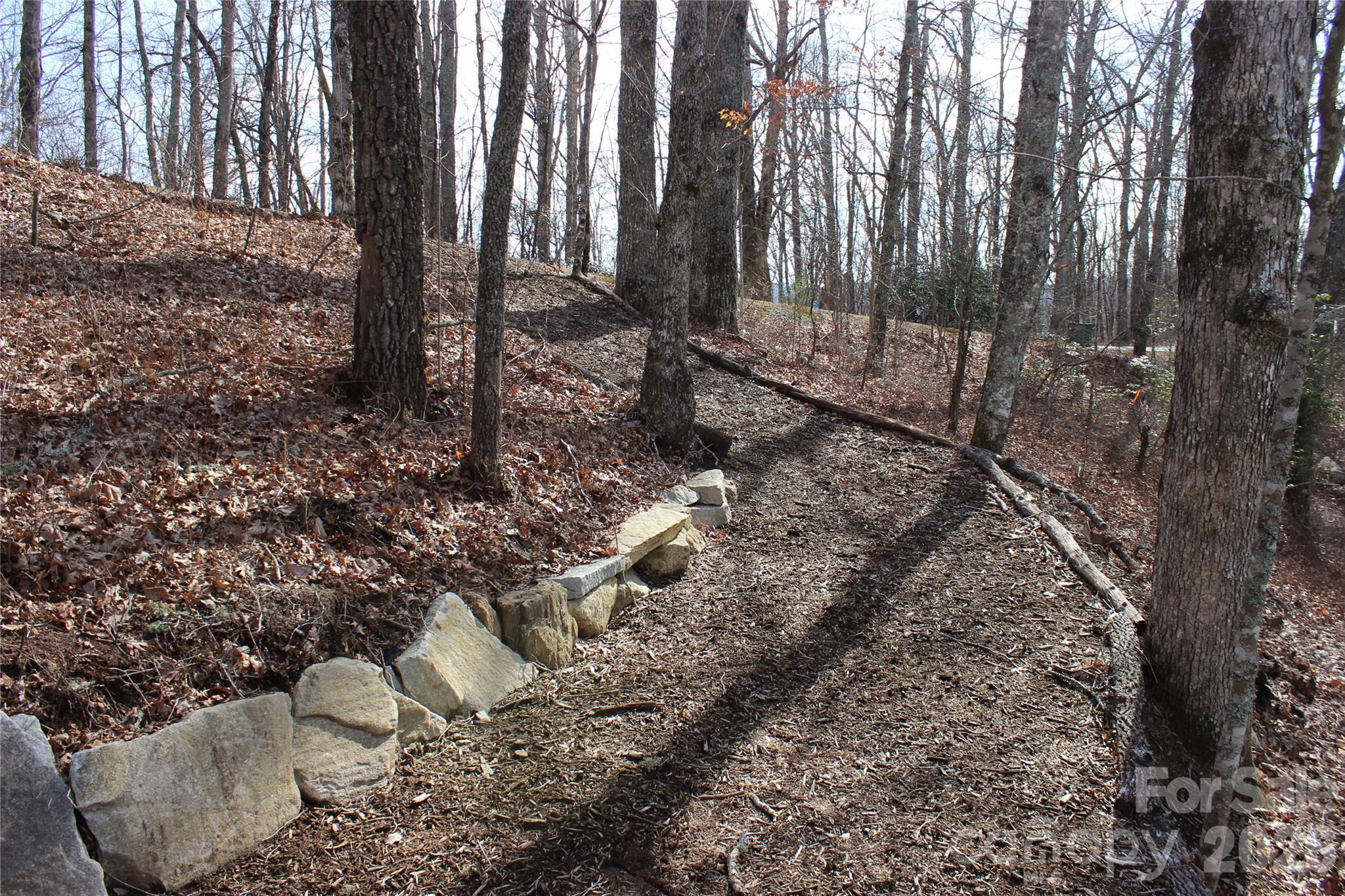 Lots 82 & 83 Waterdance Drive Property Photo 7
