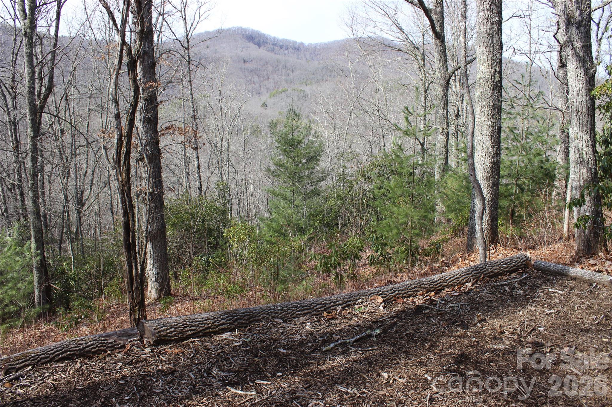 Lots 82 & 83 Waterdance Drive Property Photo 8