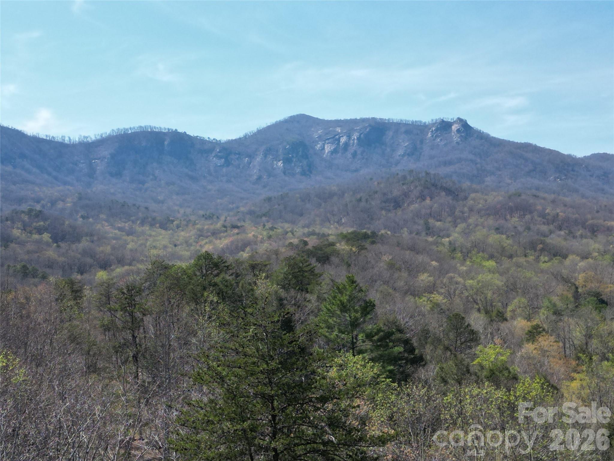 145 White Pine Drive Property Photo 4