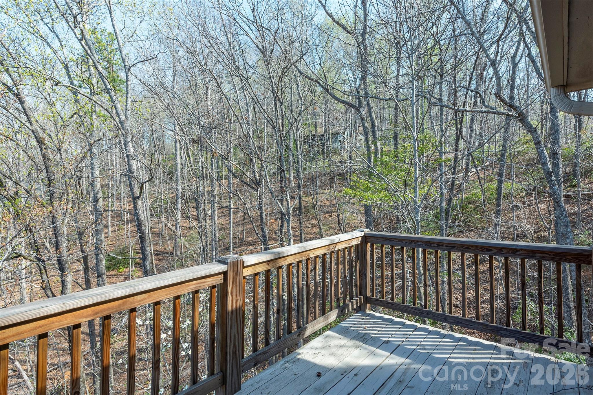145 White Pine Drive Property Photo 28