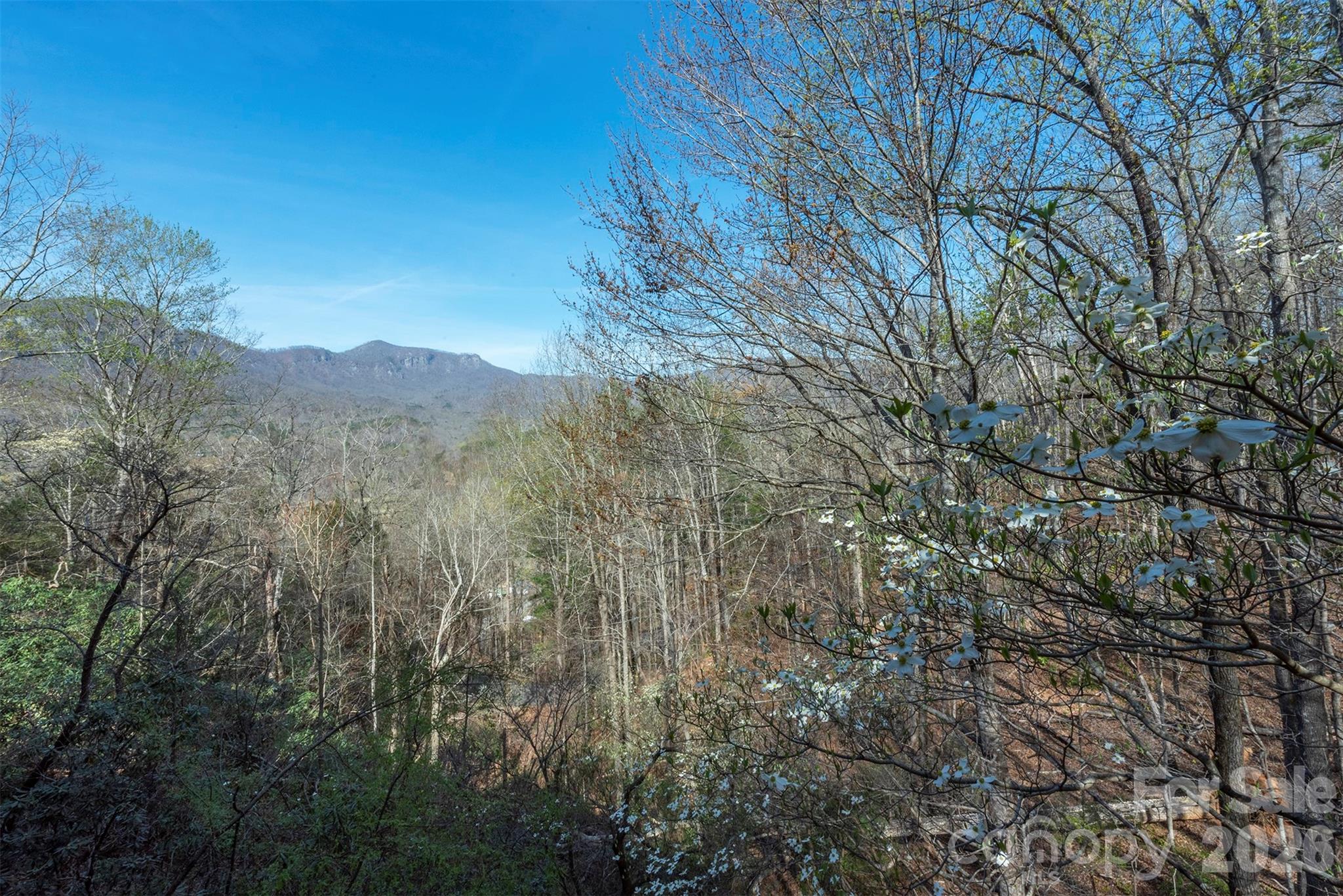 145 White Pine Drive Property Photo 34