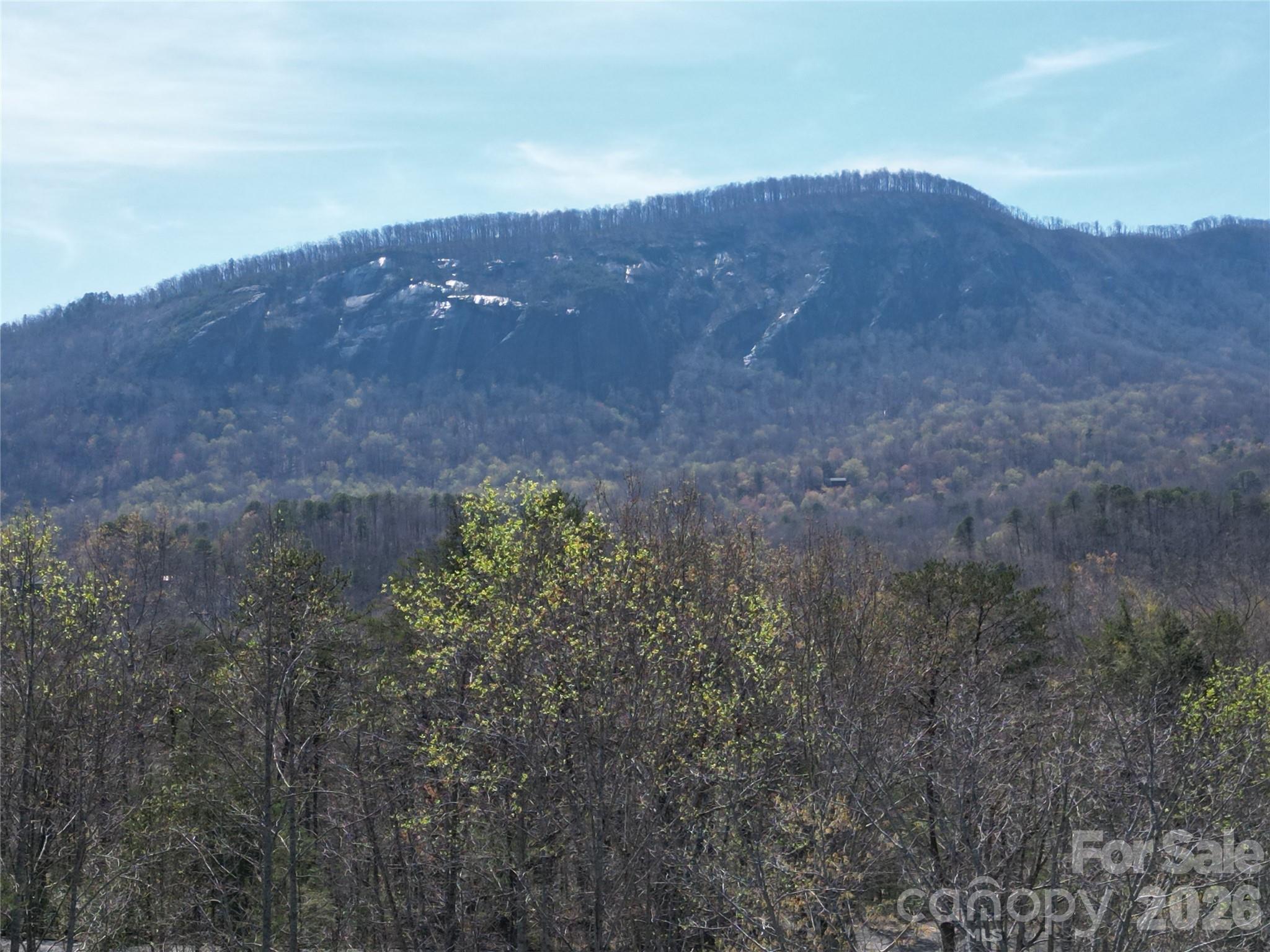 145 White Pine Drive Property Photo 36