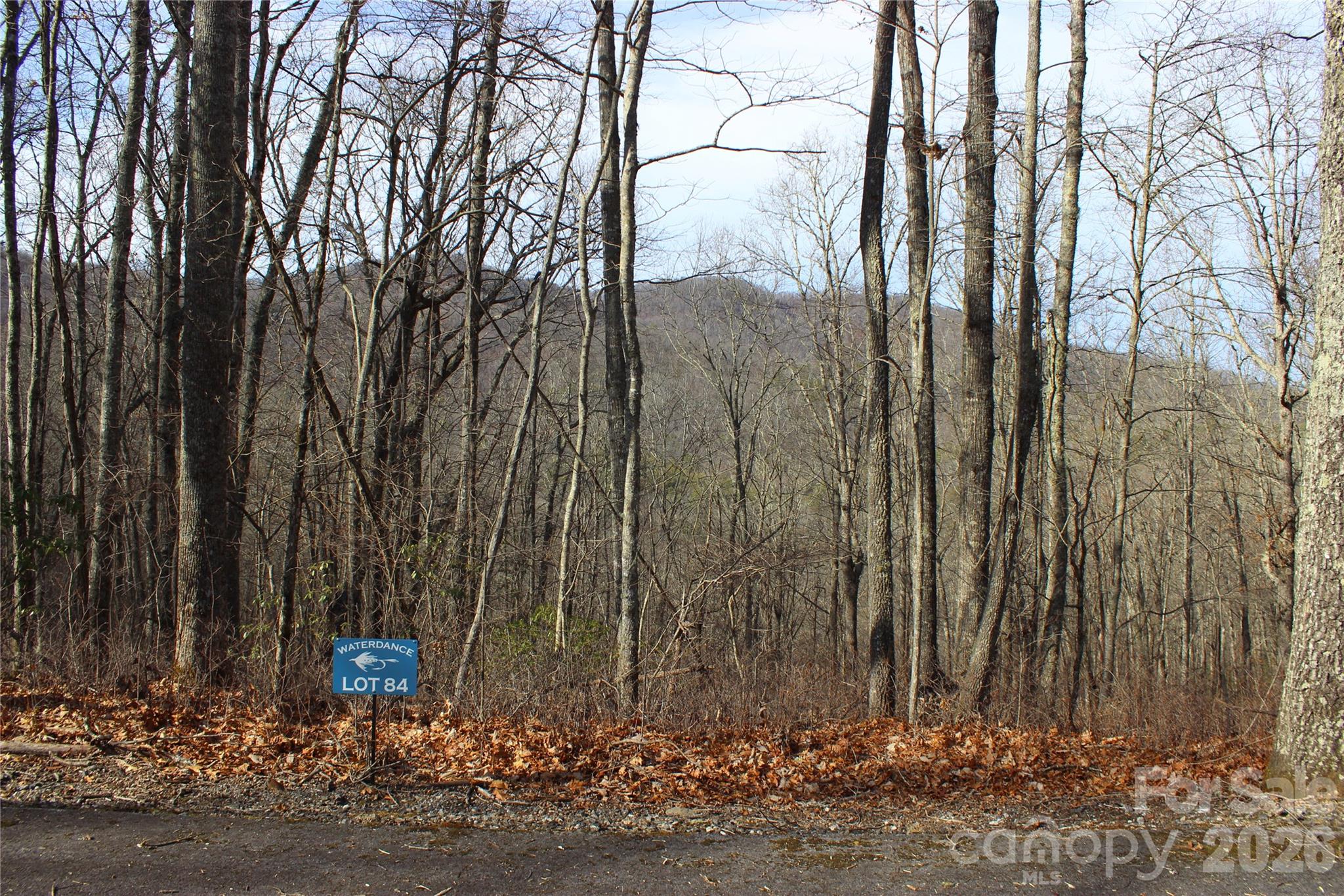 Lot 84 Waterdance Drive Property Photo 1