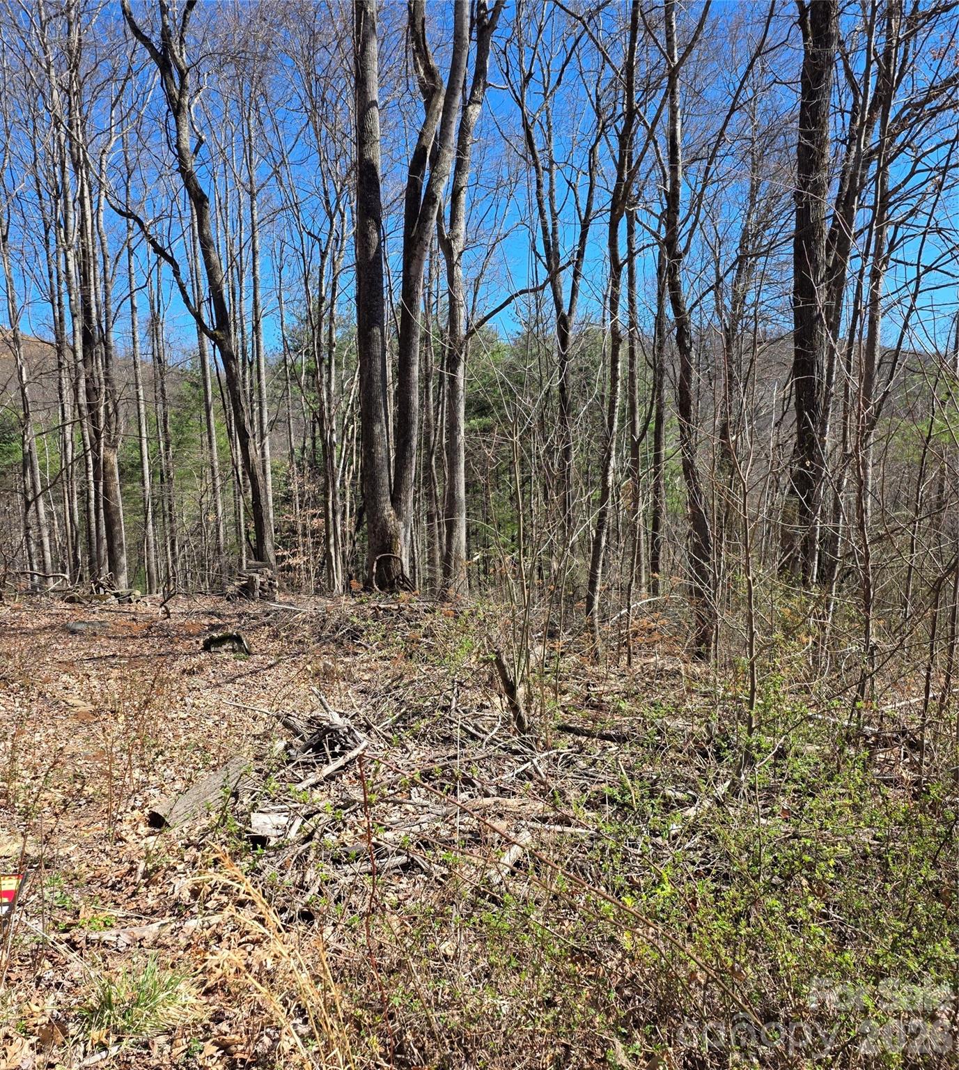 00 Altamont Way Property Photo 4