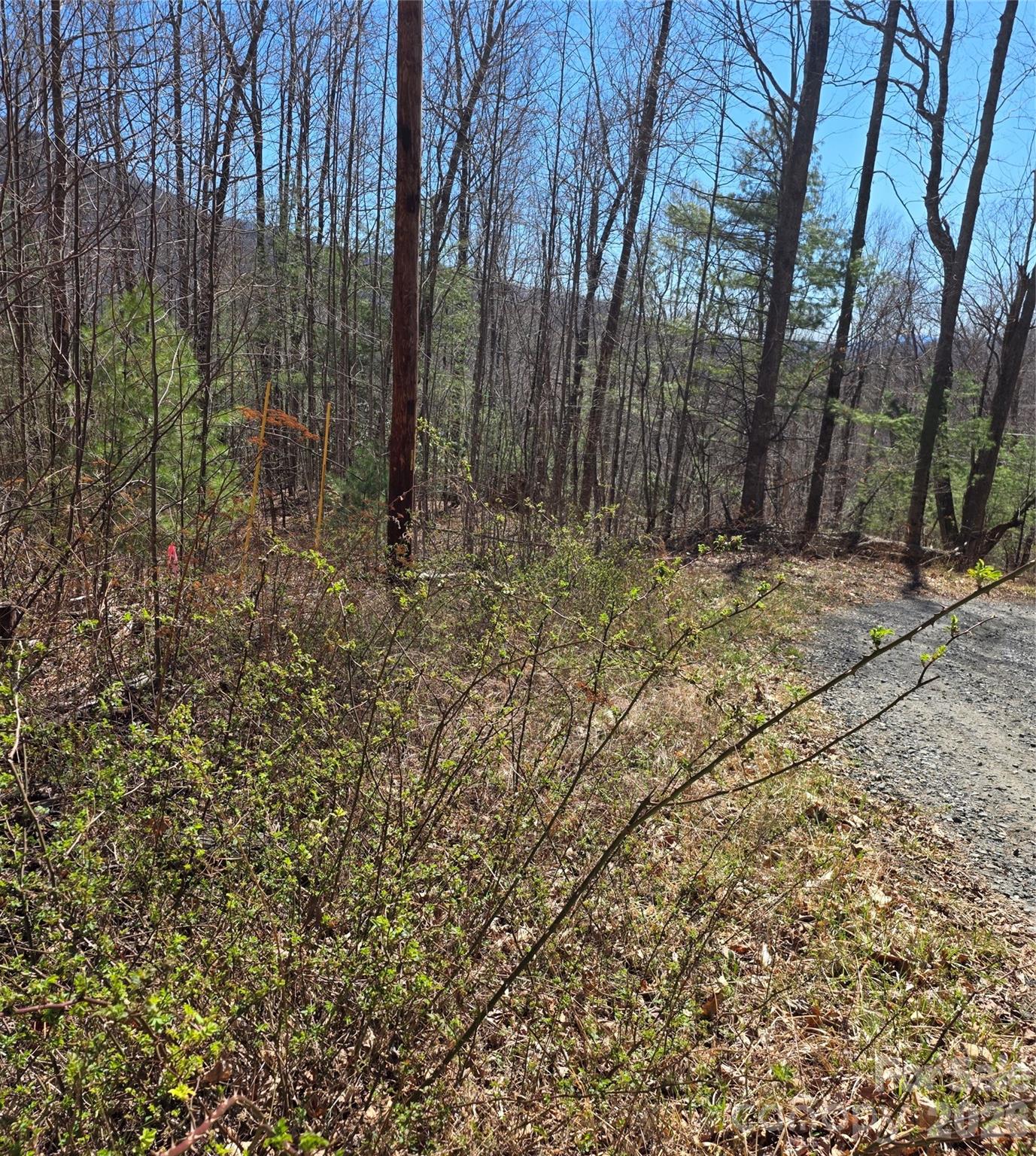 00 Altamont Way Property Photo 6