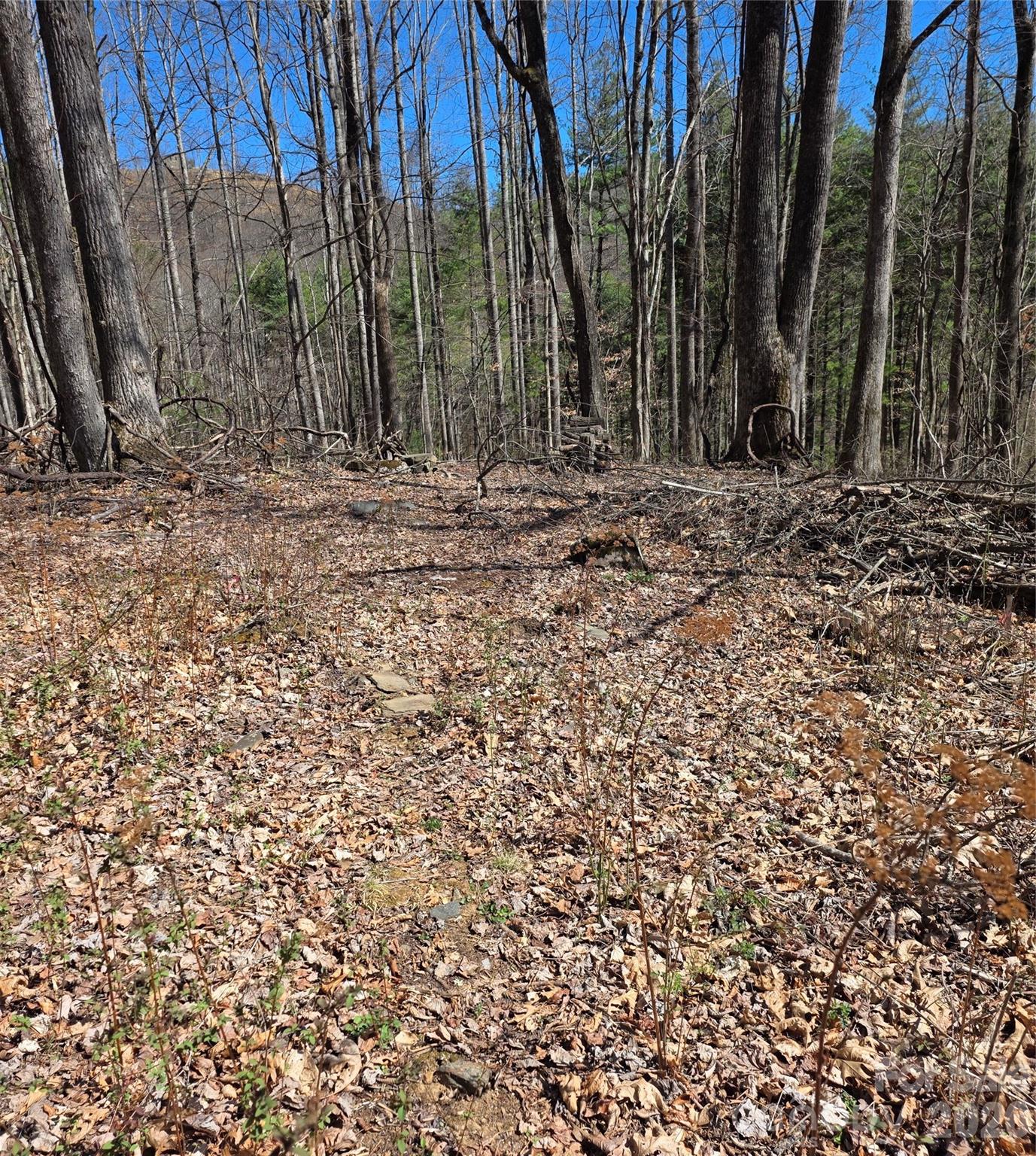 00 Altamont Way Property Photo 7