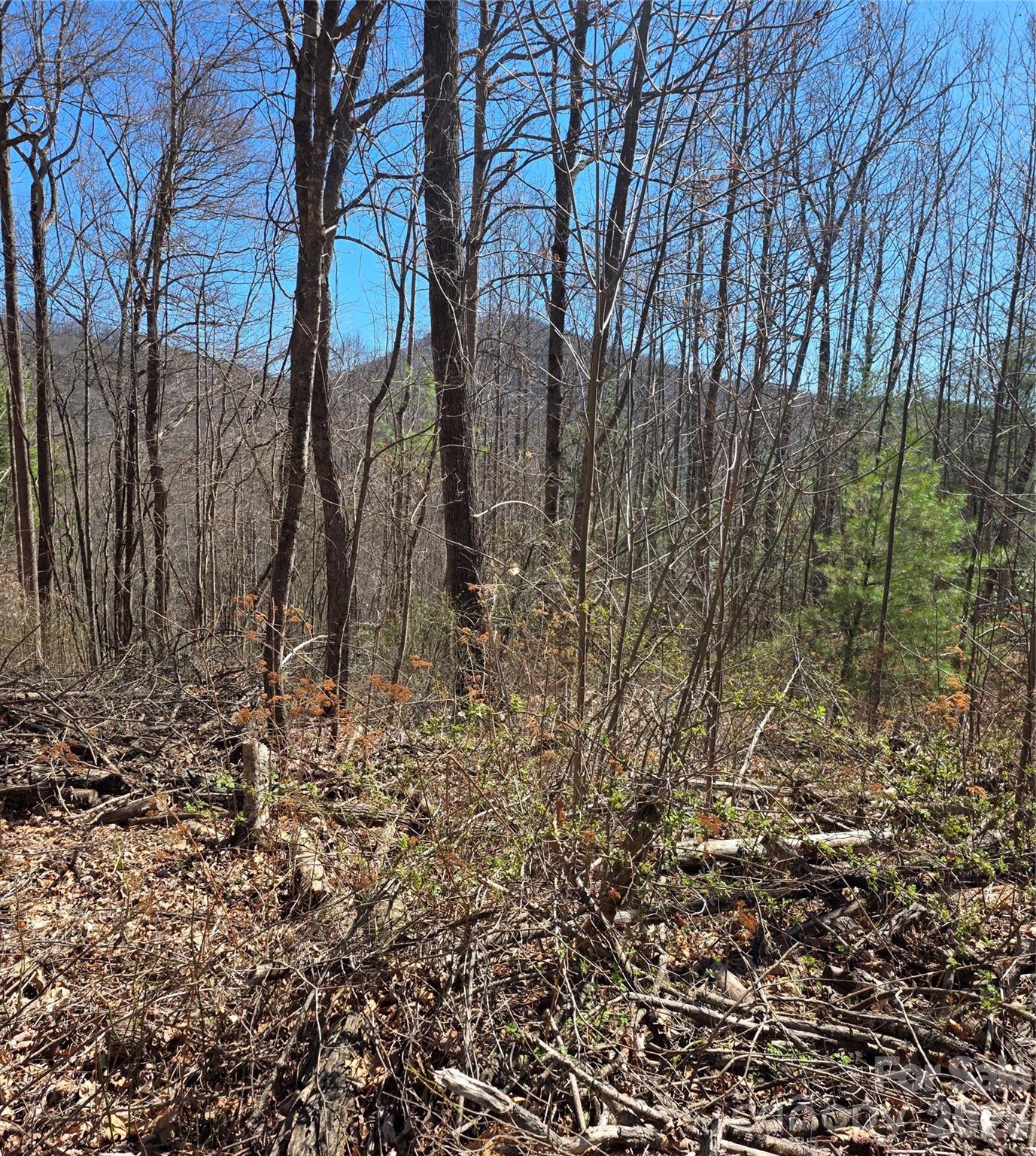 00 Altamont Way Property Photo 8